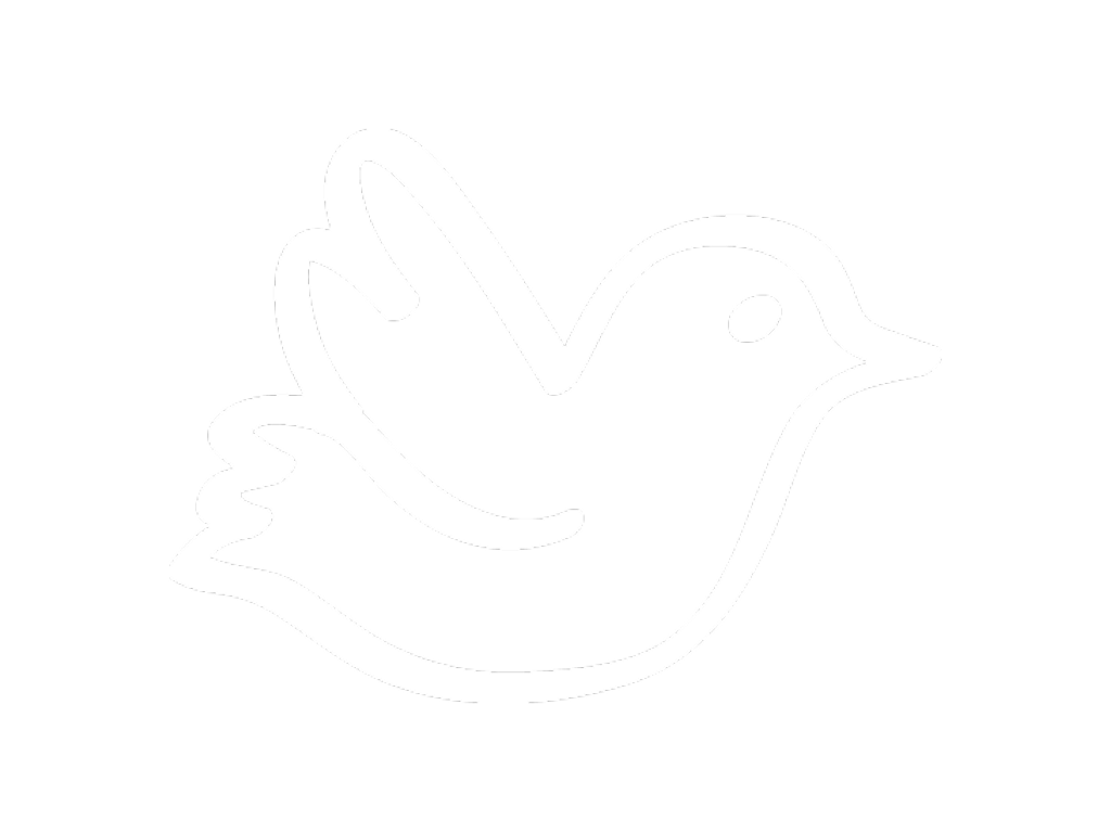 Outline of a simple white dove on a black background