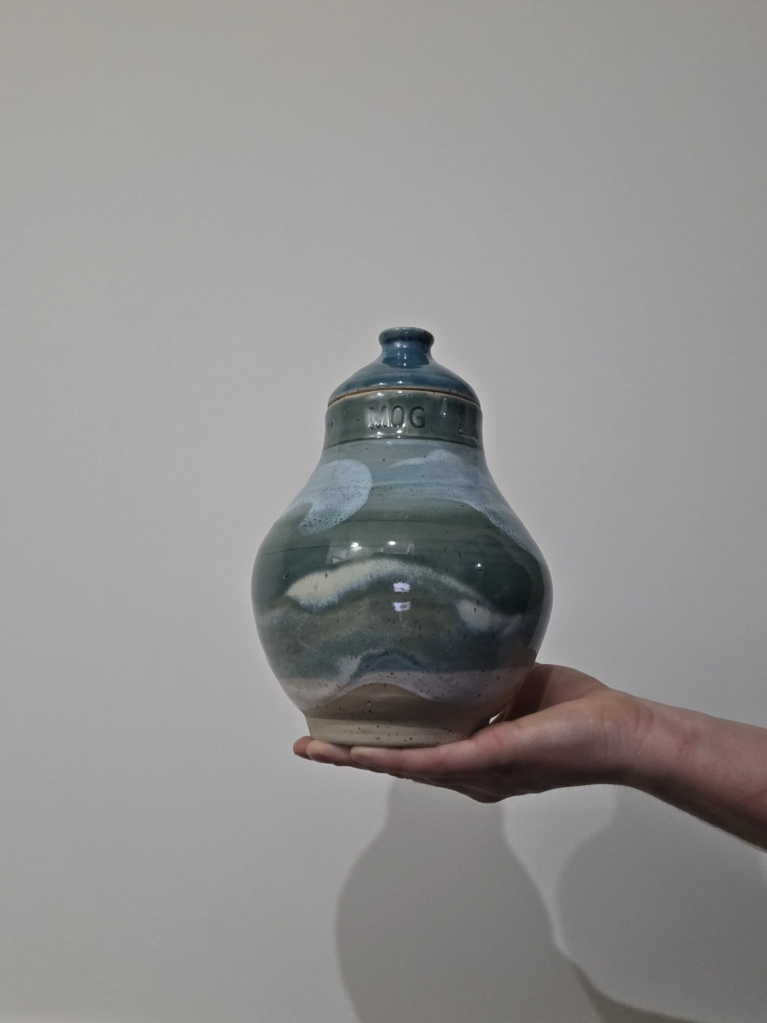 1000028913.jpg