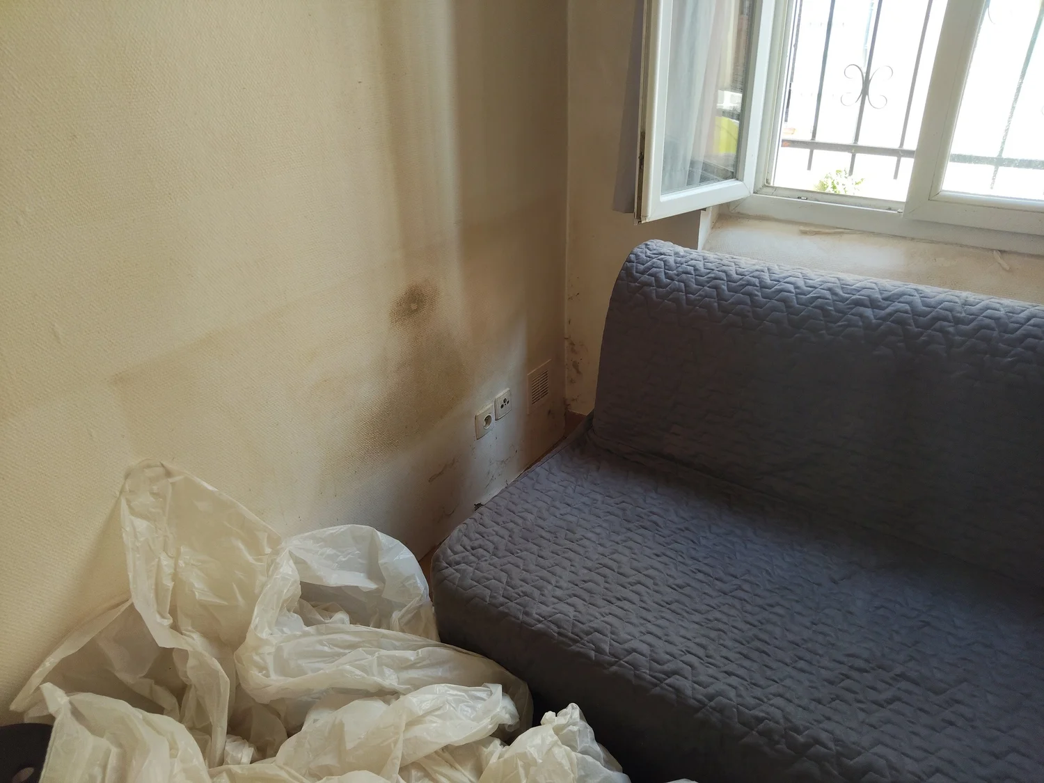 Mur taché par l'humidité avant travaux