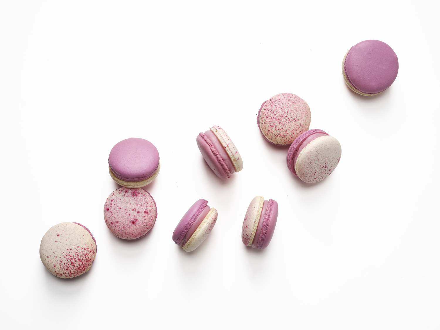 Macarons Banners-6.png