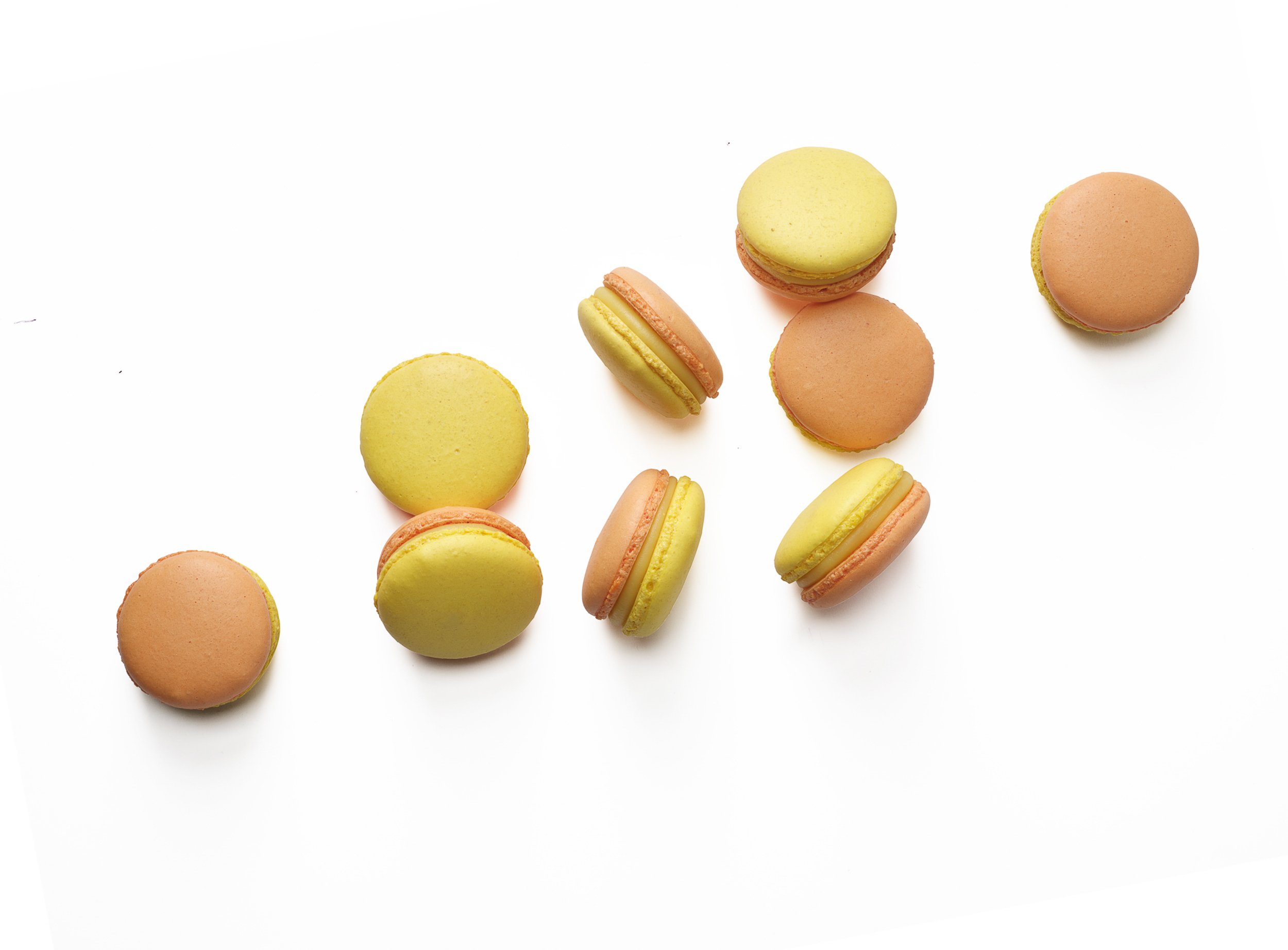 Macarons Banners-3.jpg