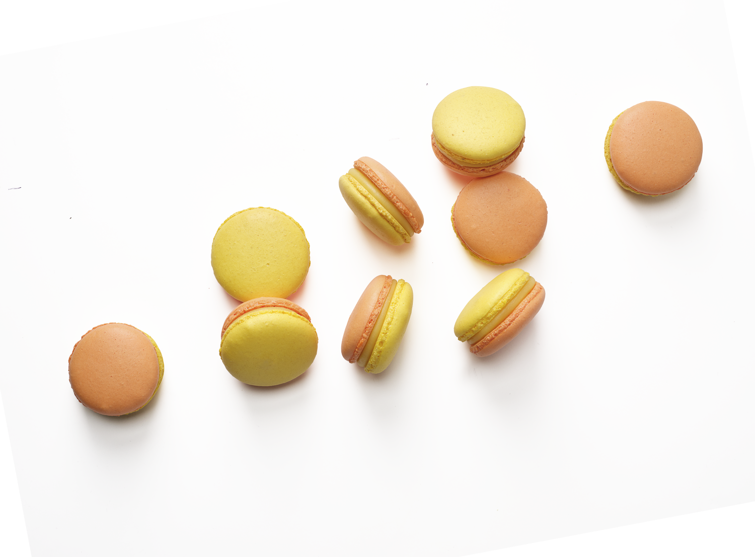 Macarons Banners-3.png