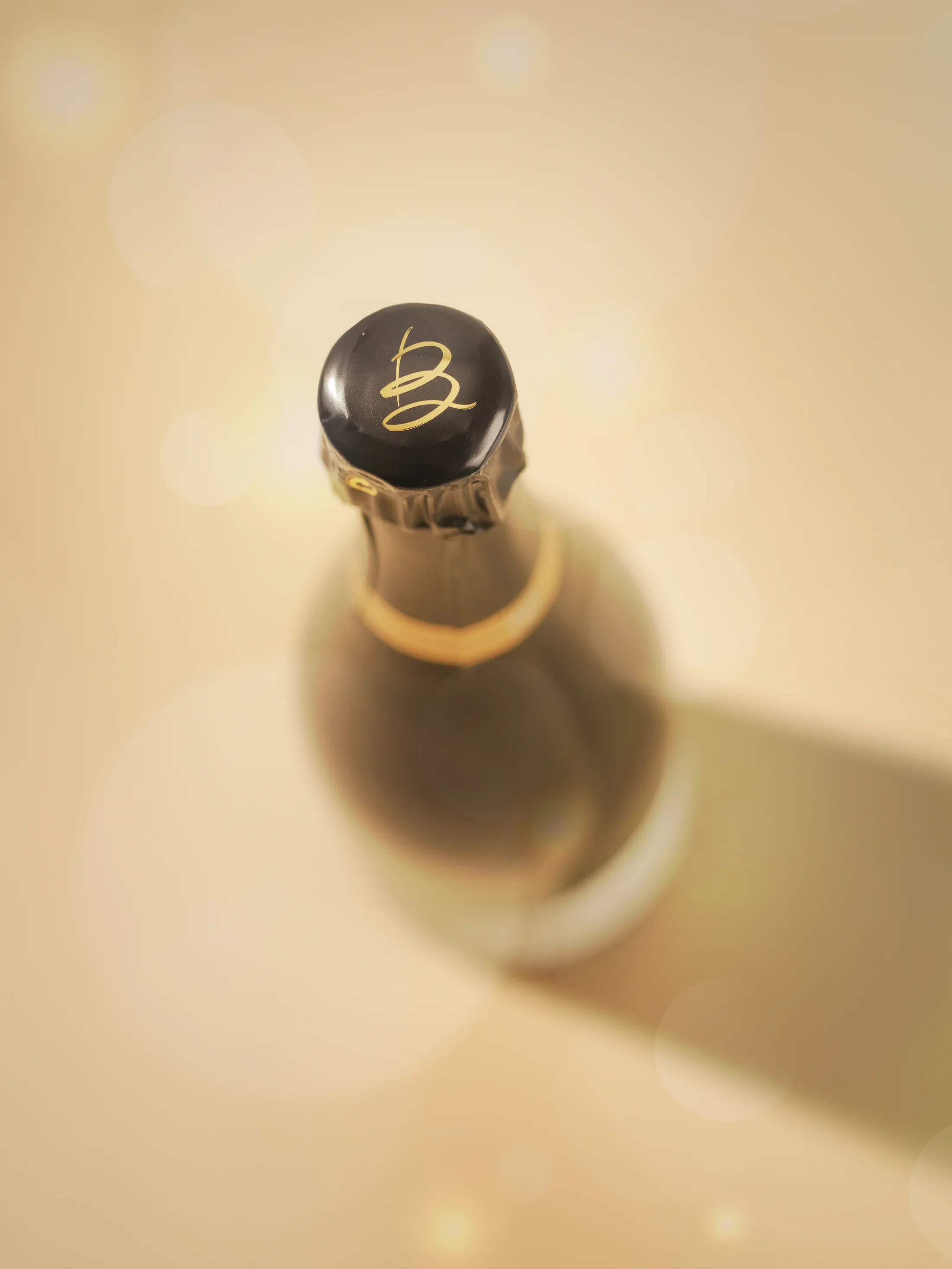 Bottle_Top_Final_Dark_2200x.webp