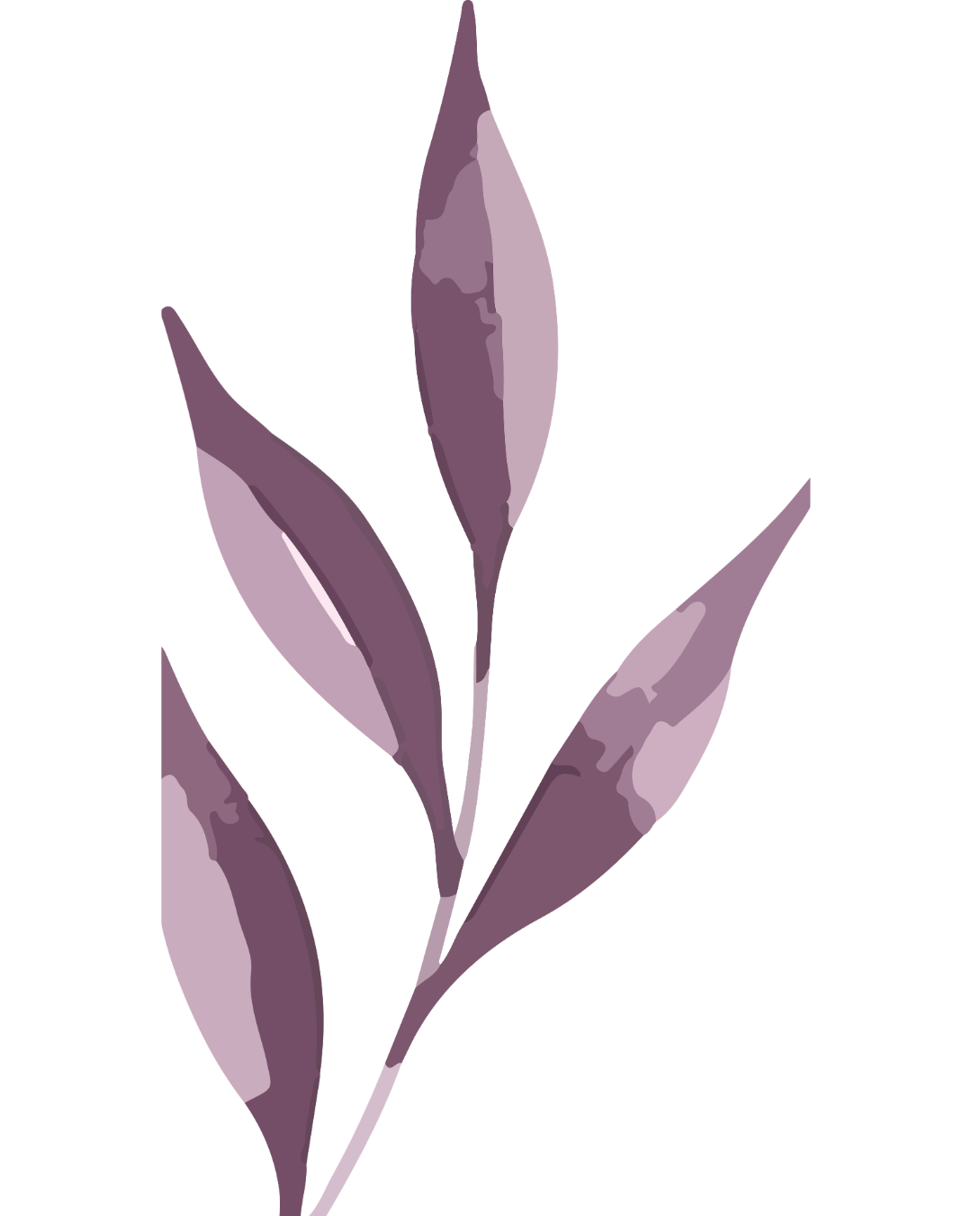 Illustration of a purple plant with elongated leaves against a black background.