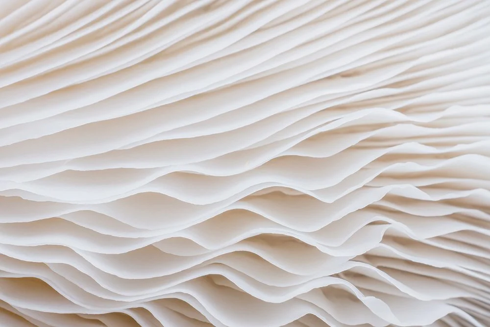 Close-up of stacked white paper sheets with ruffled edges.