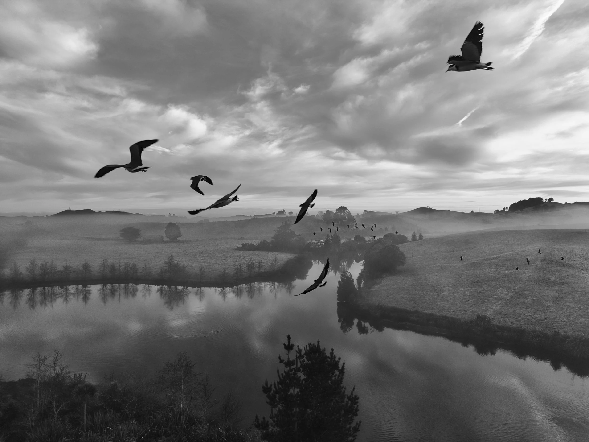 Black and white photograph of a landscape with a body of water, rolling hills, trees, and a cloudy sky with birds flying.