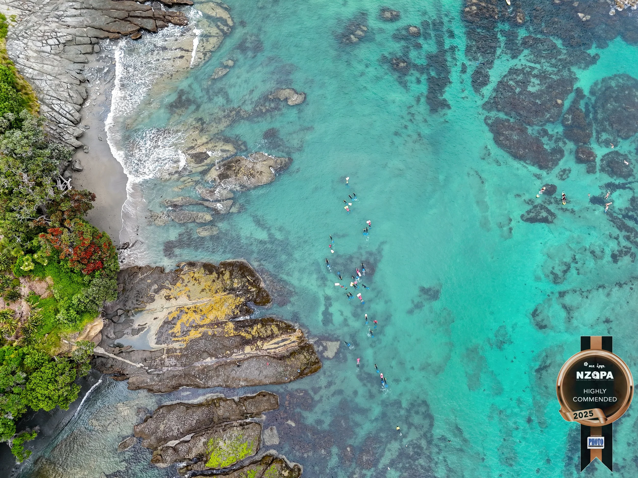 An aerial view of a coastal area showing green trees on the left, rocky shoreline, and clear turquoise water with people paddleboarding and swimming.
