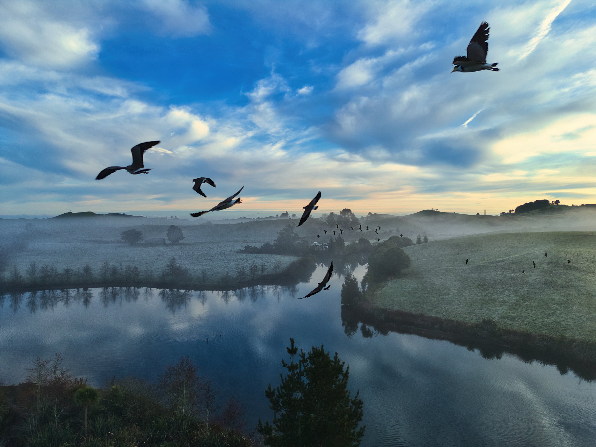morning flight.jpg