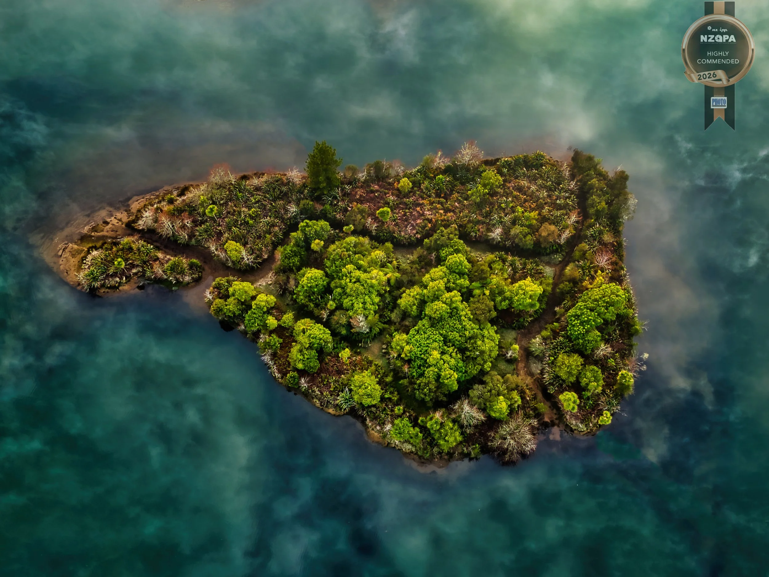 An aerial view of a small, lush island surrounded by clear, turquoise water. The island is densely covered with green trees and shrubs, with a few leafless trees scattered throughout.