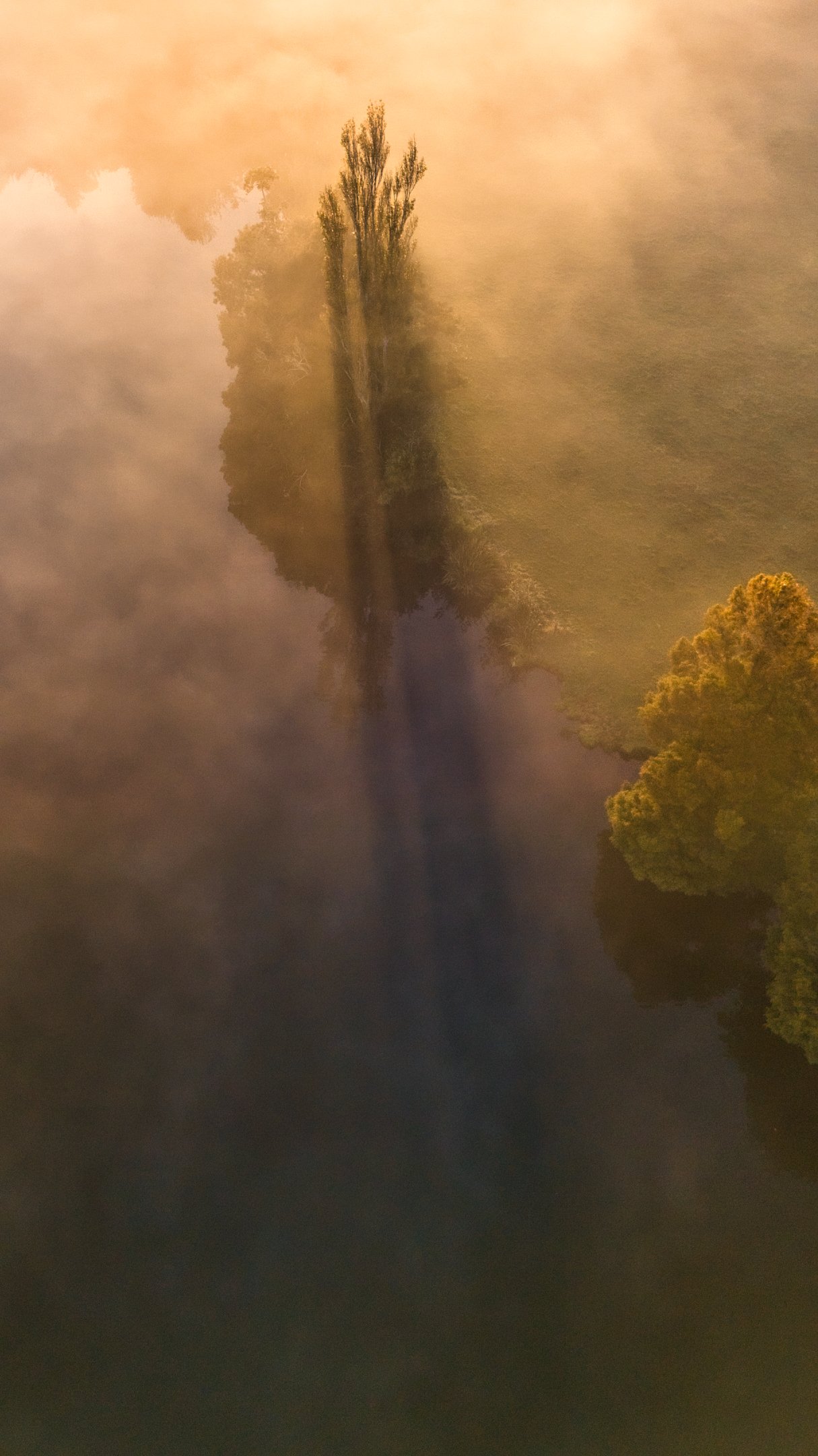 DJI_20260315074306_0060_D.jpg