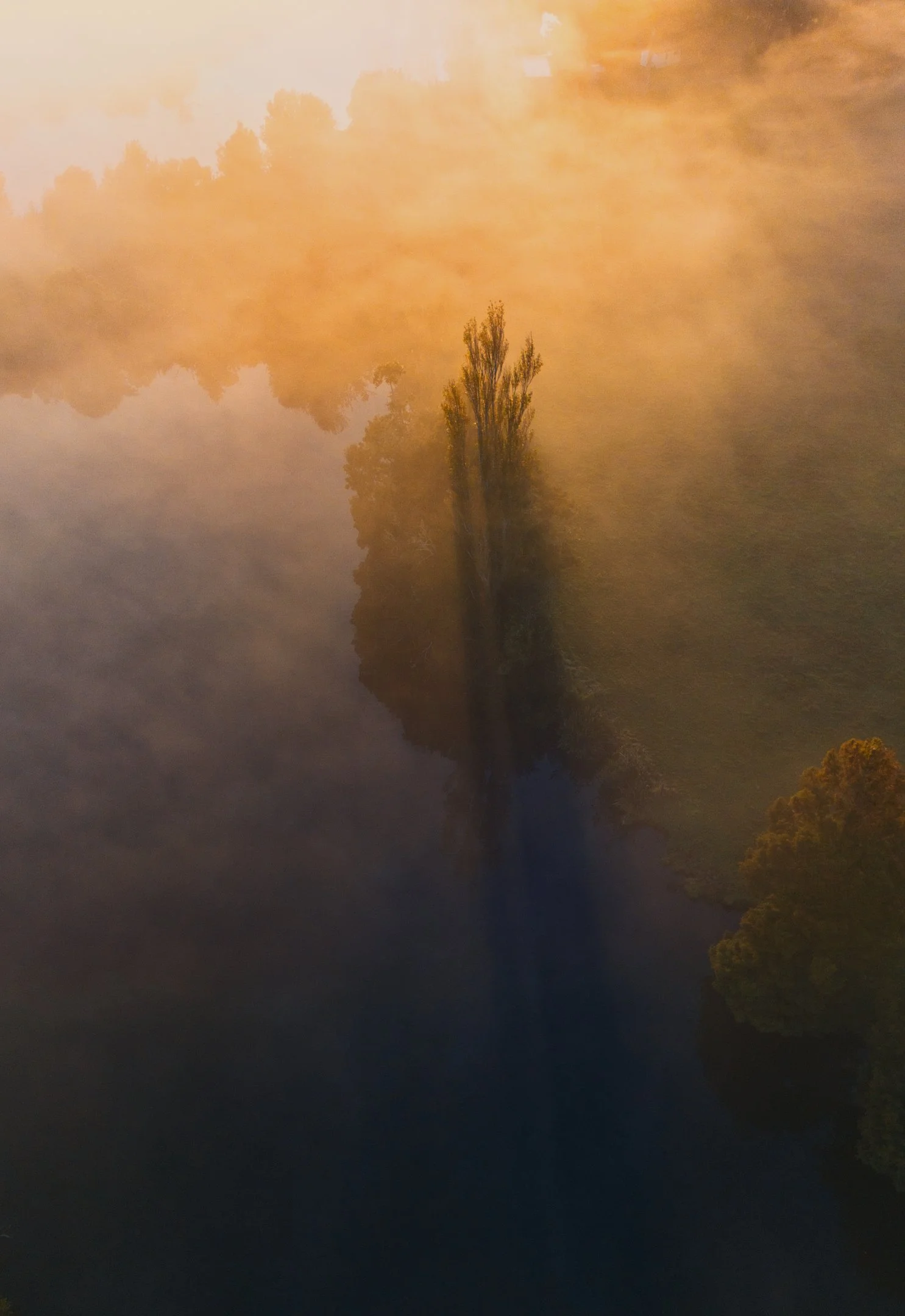 A foggy landscape with trees and their reflections in a body of water, painted in warm, golden hues.