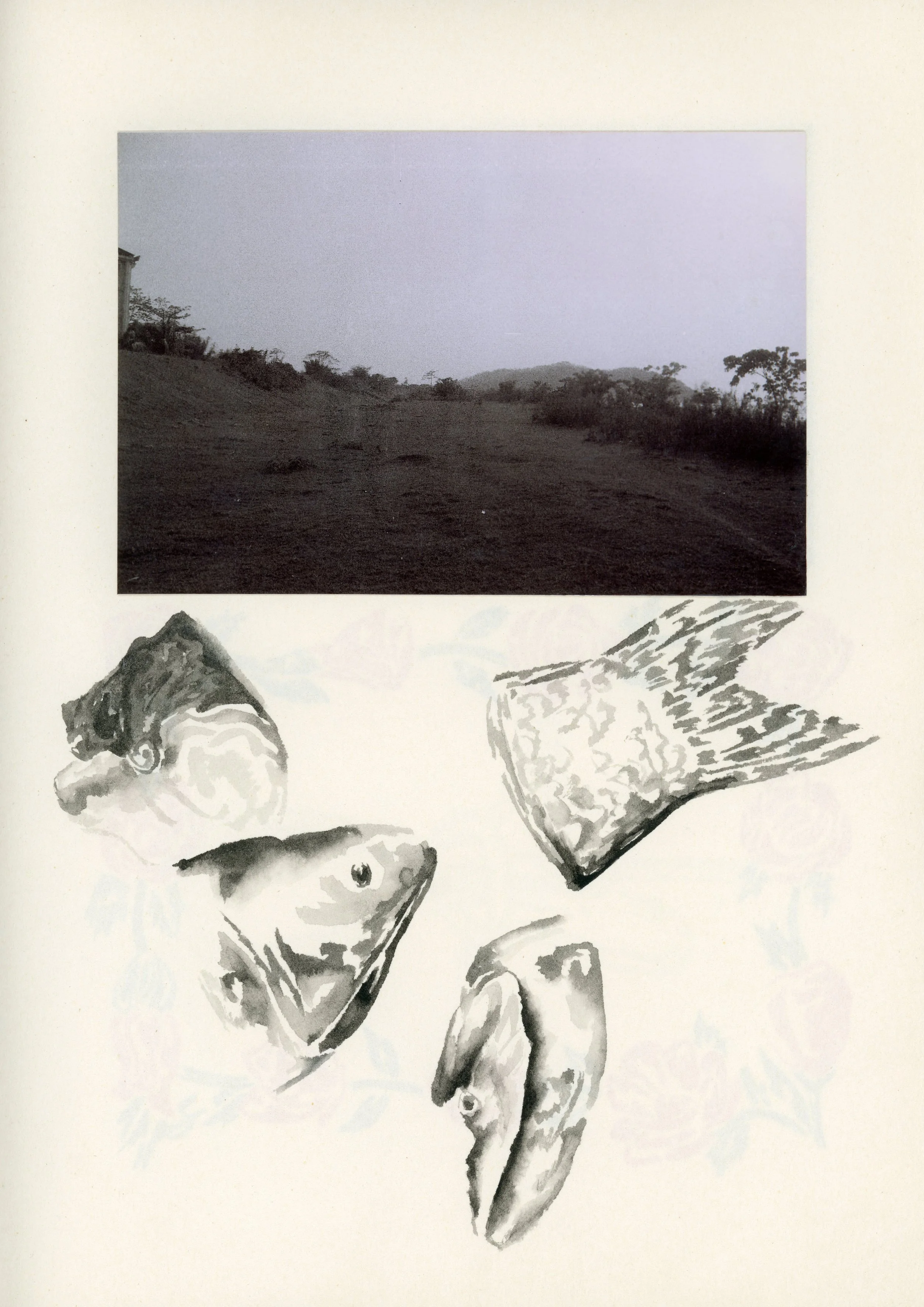 Untitled-8.jpg