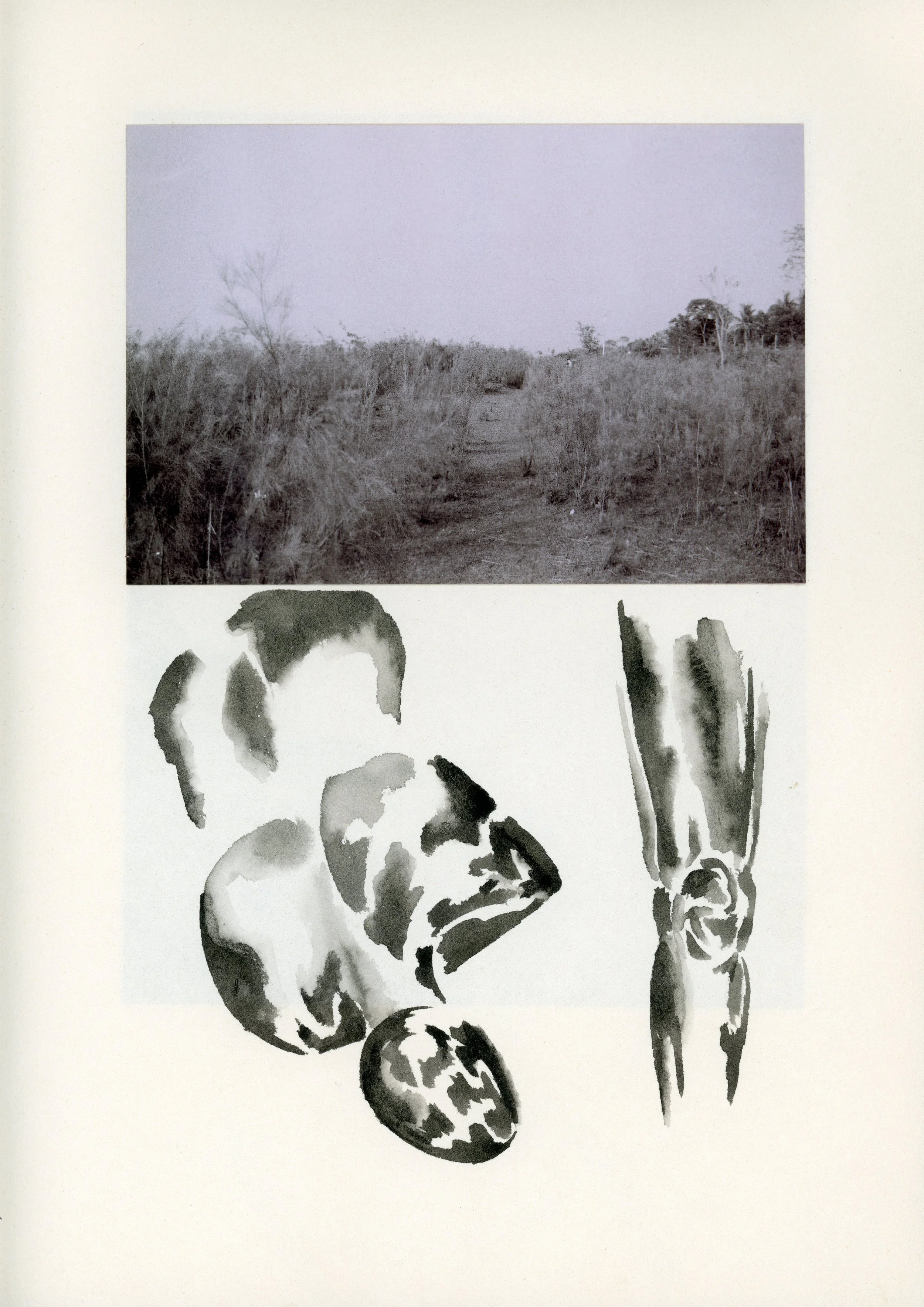 Untitled-5.jpg
