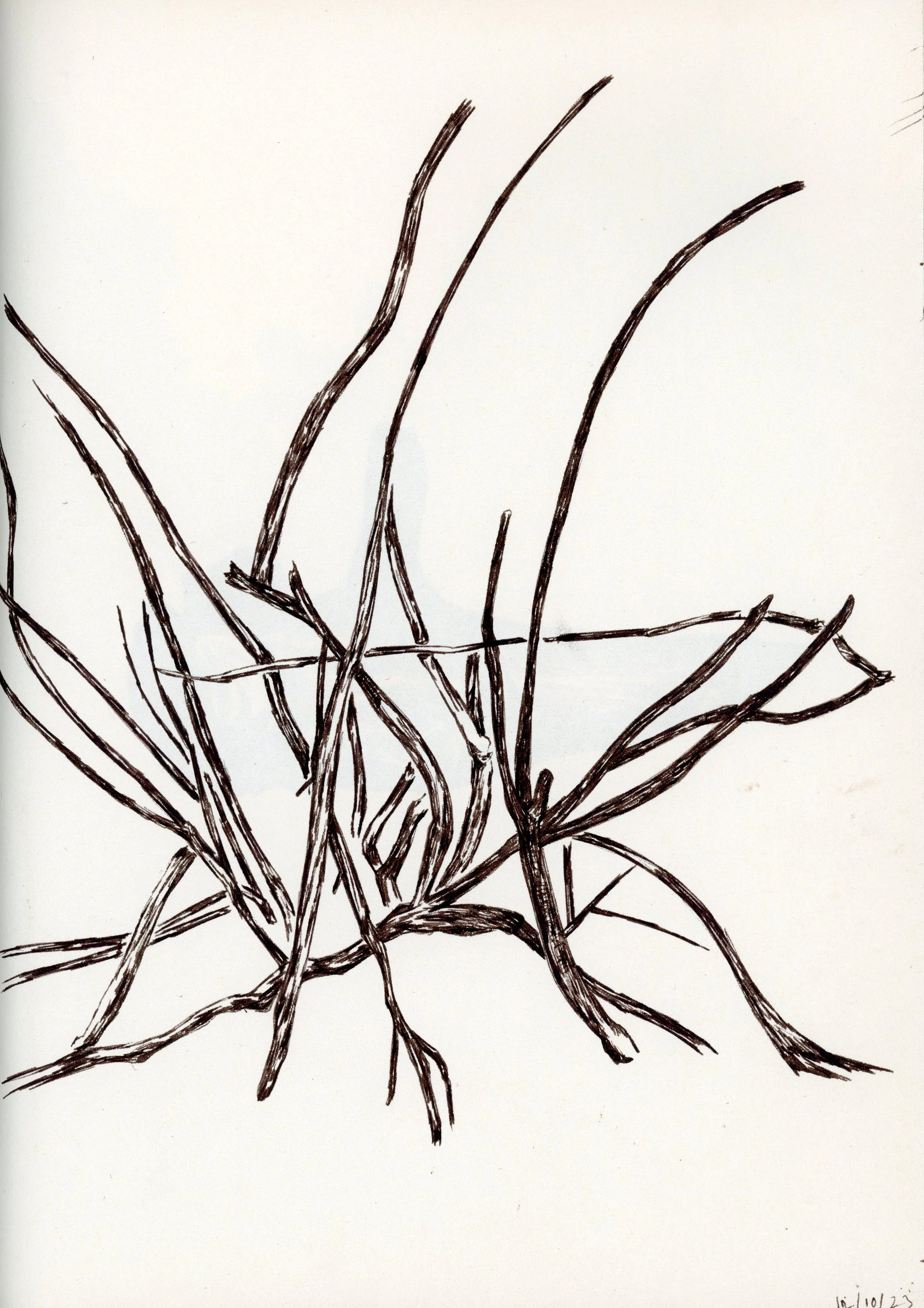 Untitled-26.jpg