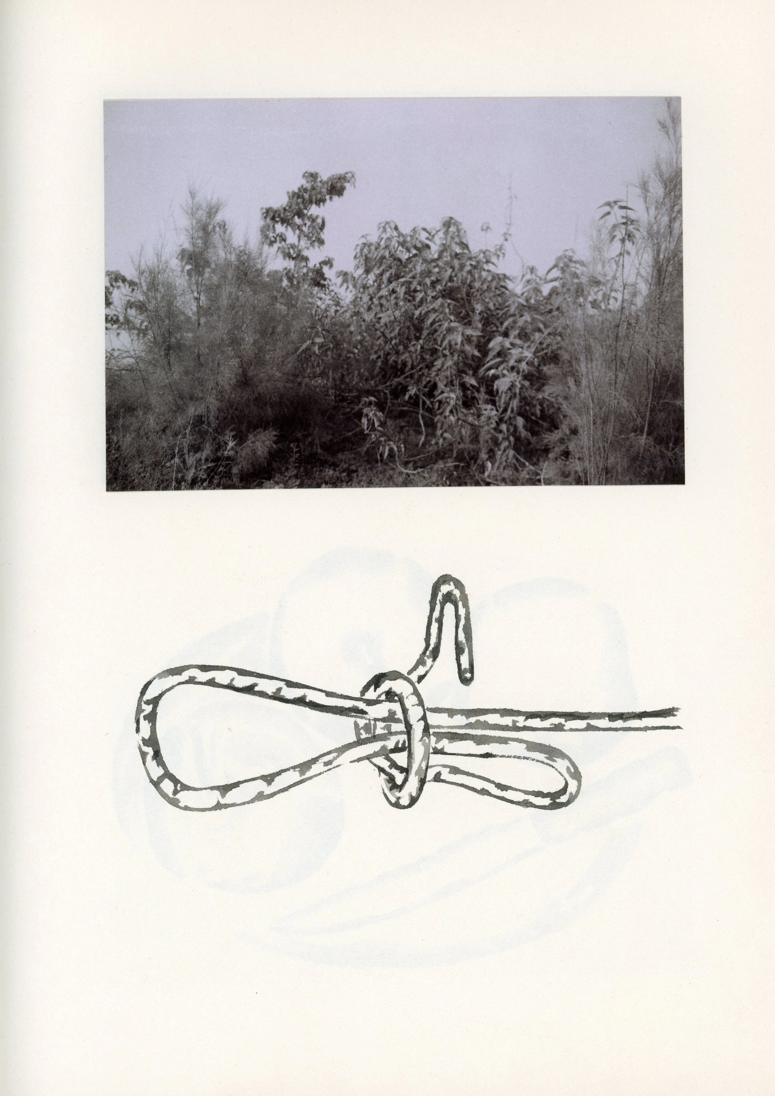 Untitled-10.jpg