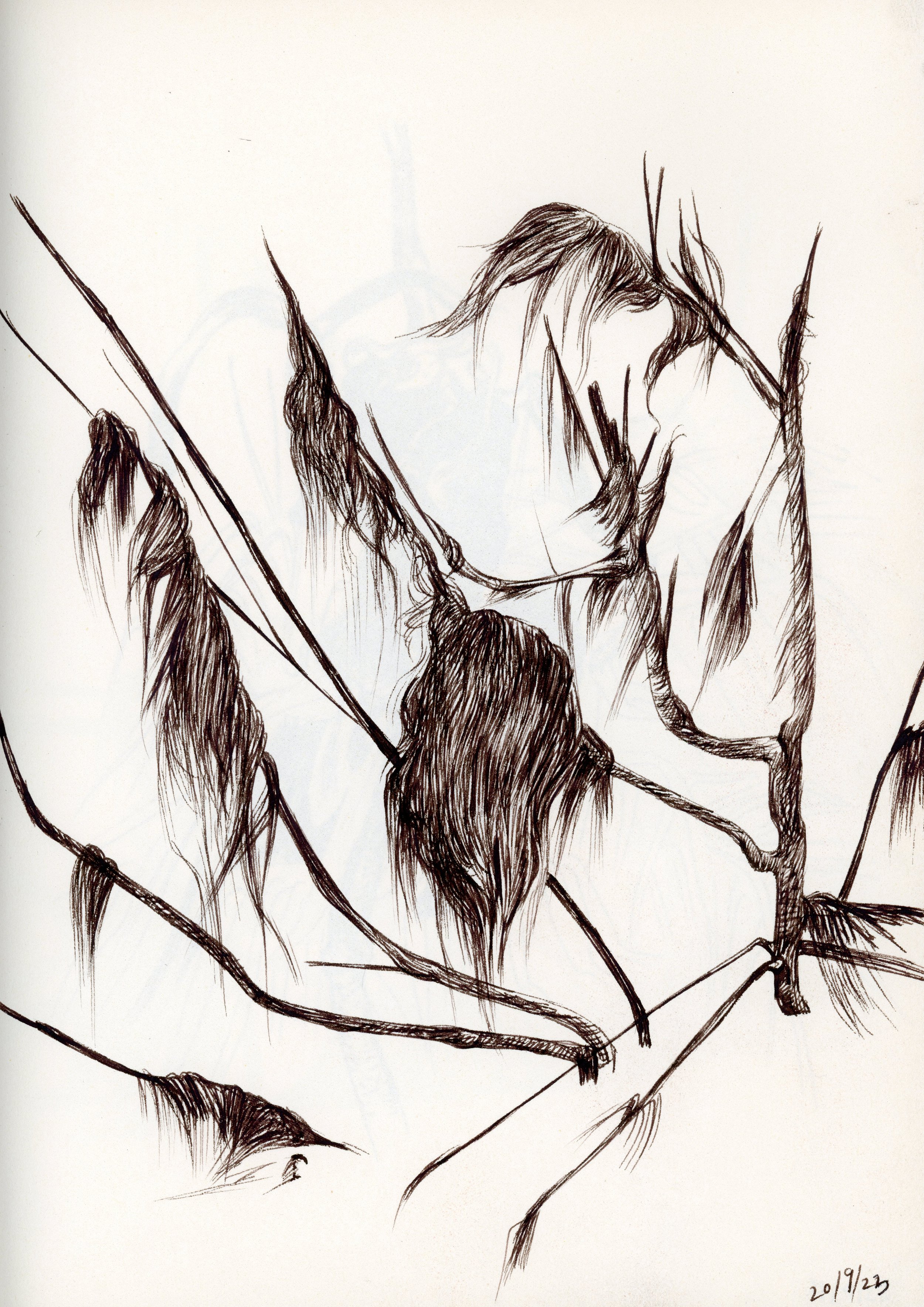 Untitled-21.jpg