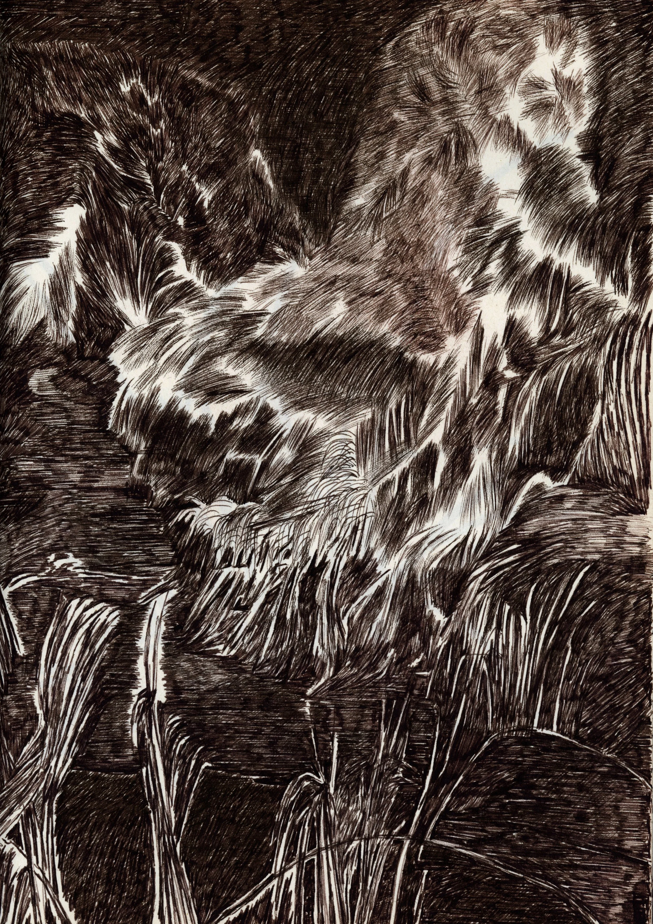 Untitled-25.jpg