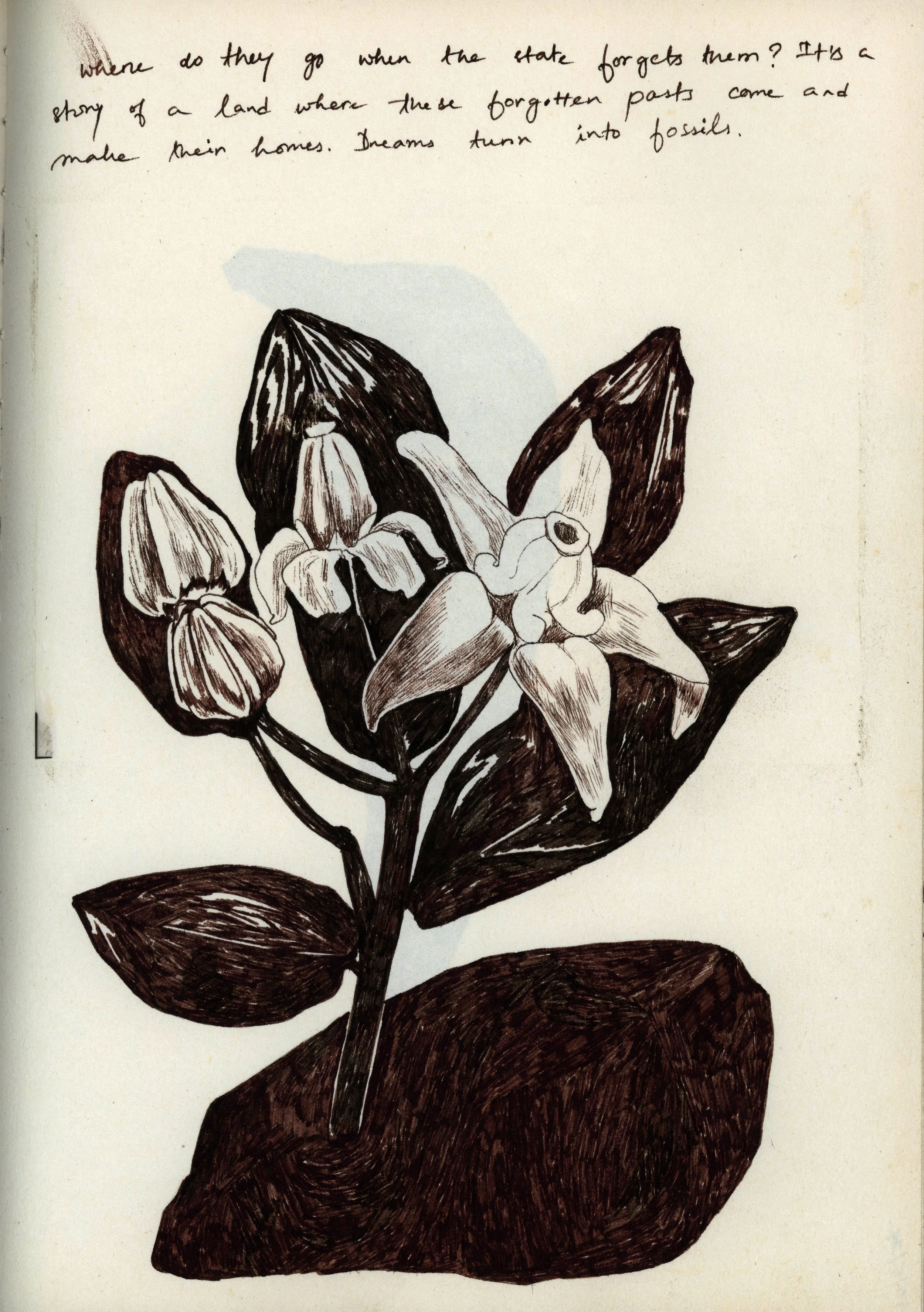 Untitled-44.jpg
