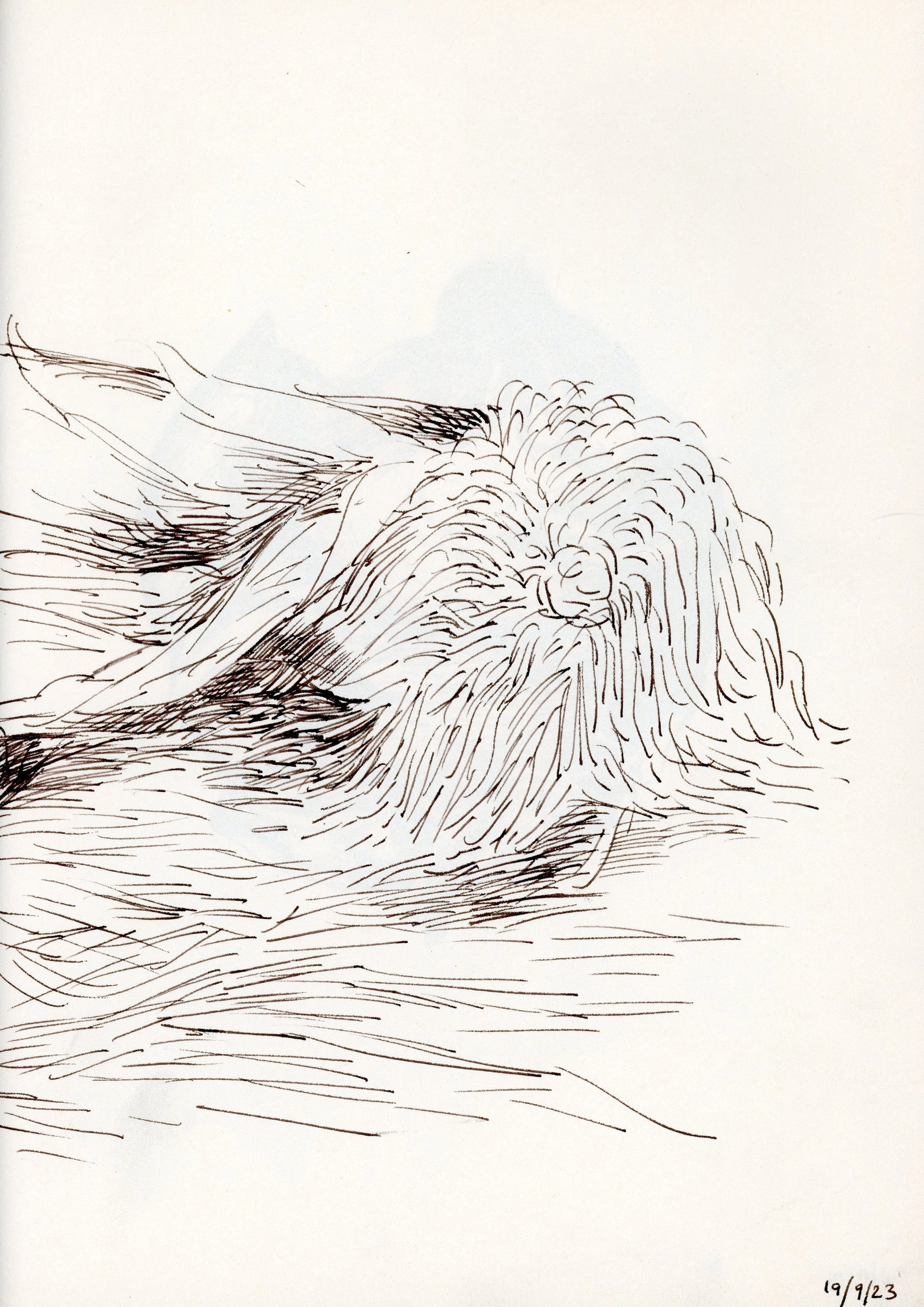 Untitled-18.jpg