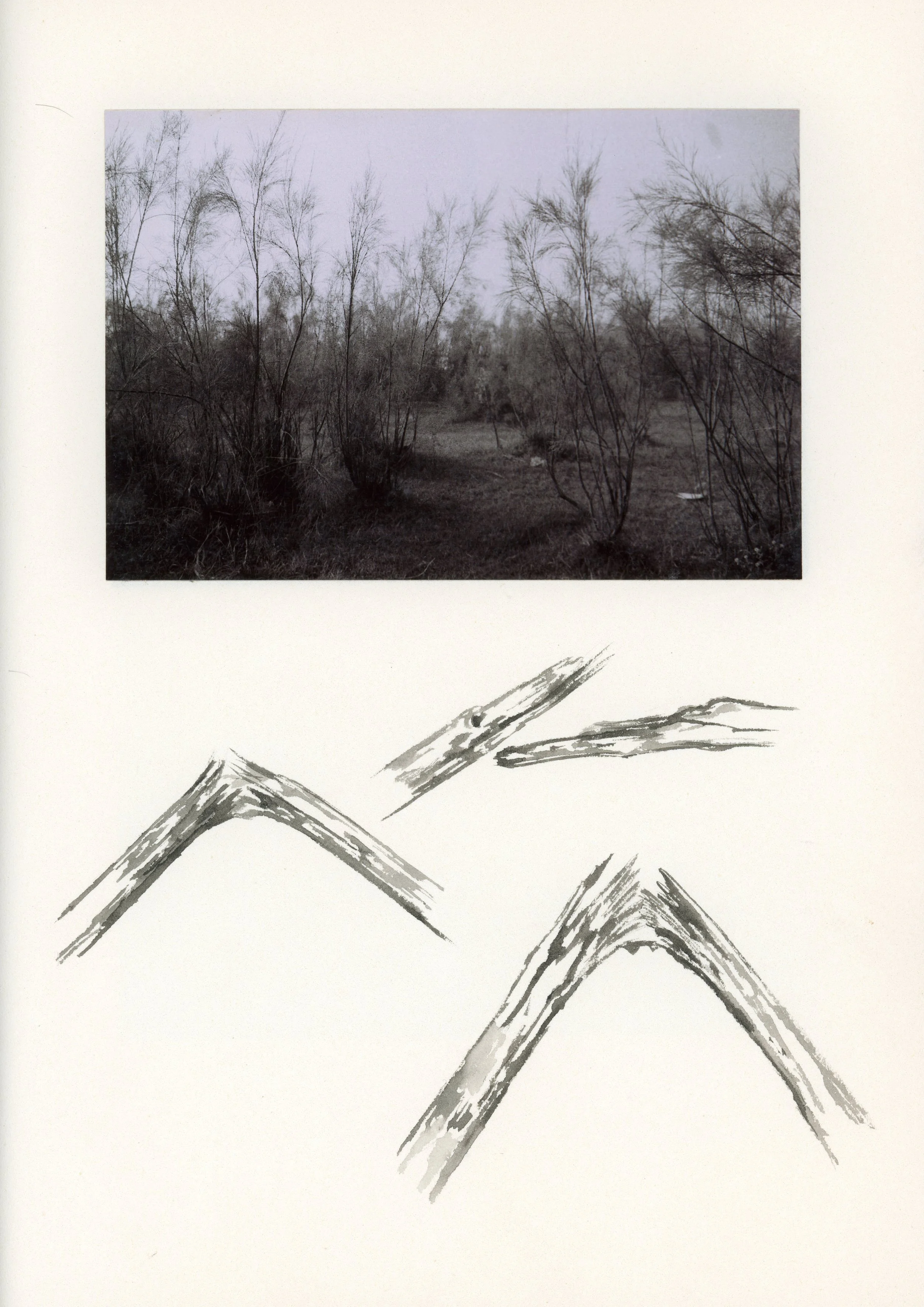 Untitled-13.jpg