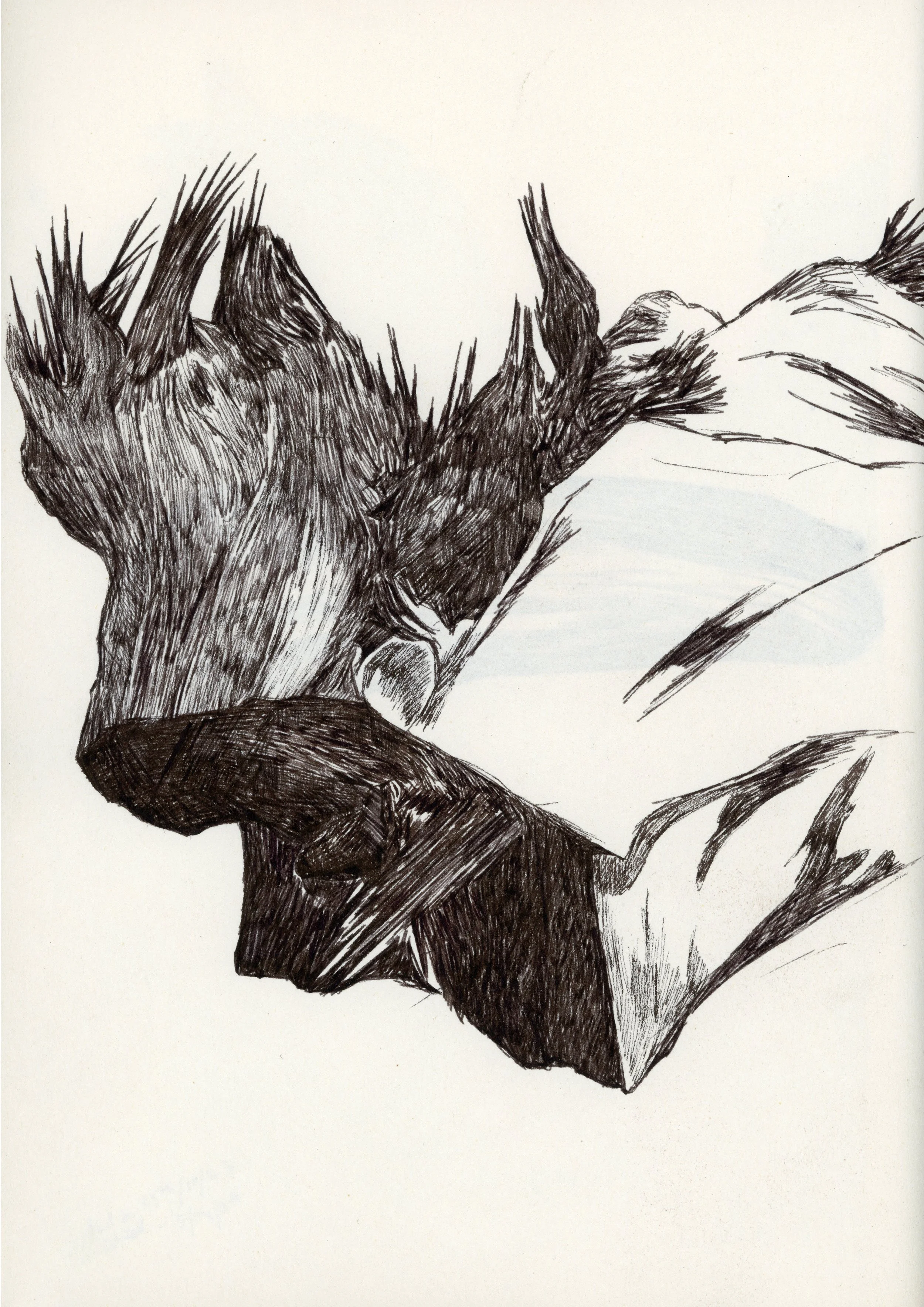 Untitled-30.jpg