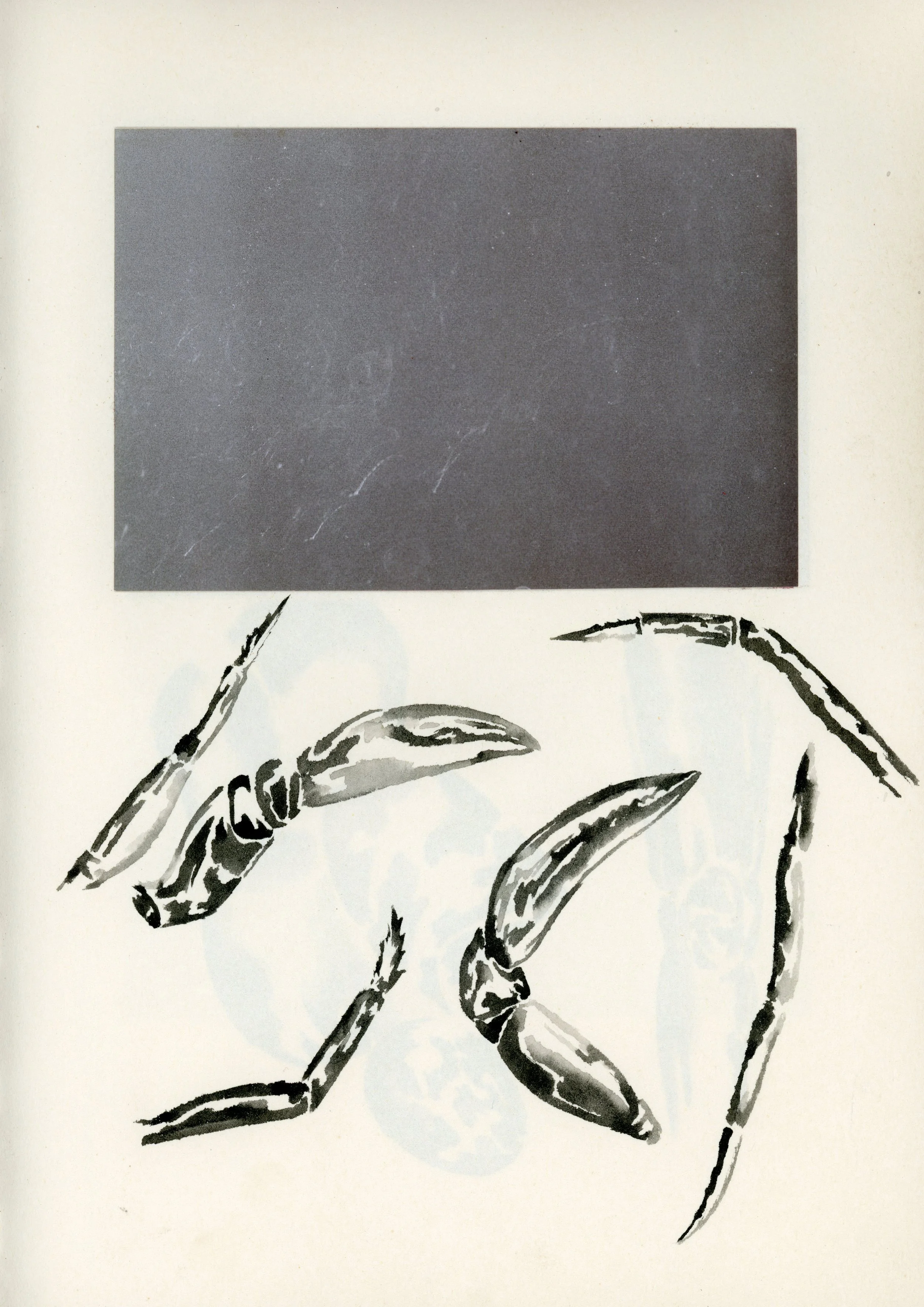 Untitled-4.jpg