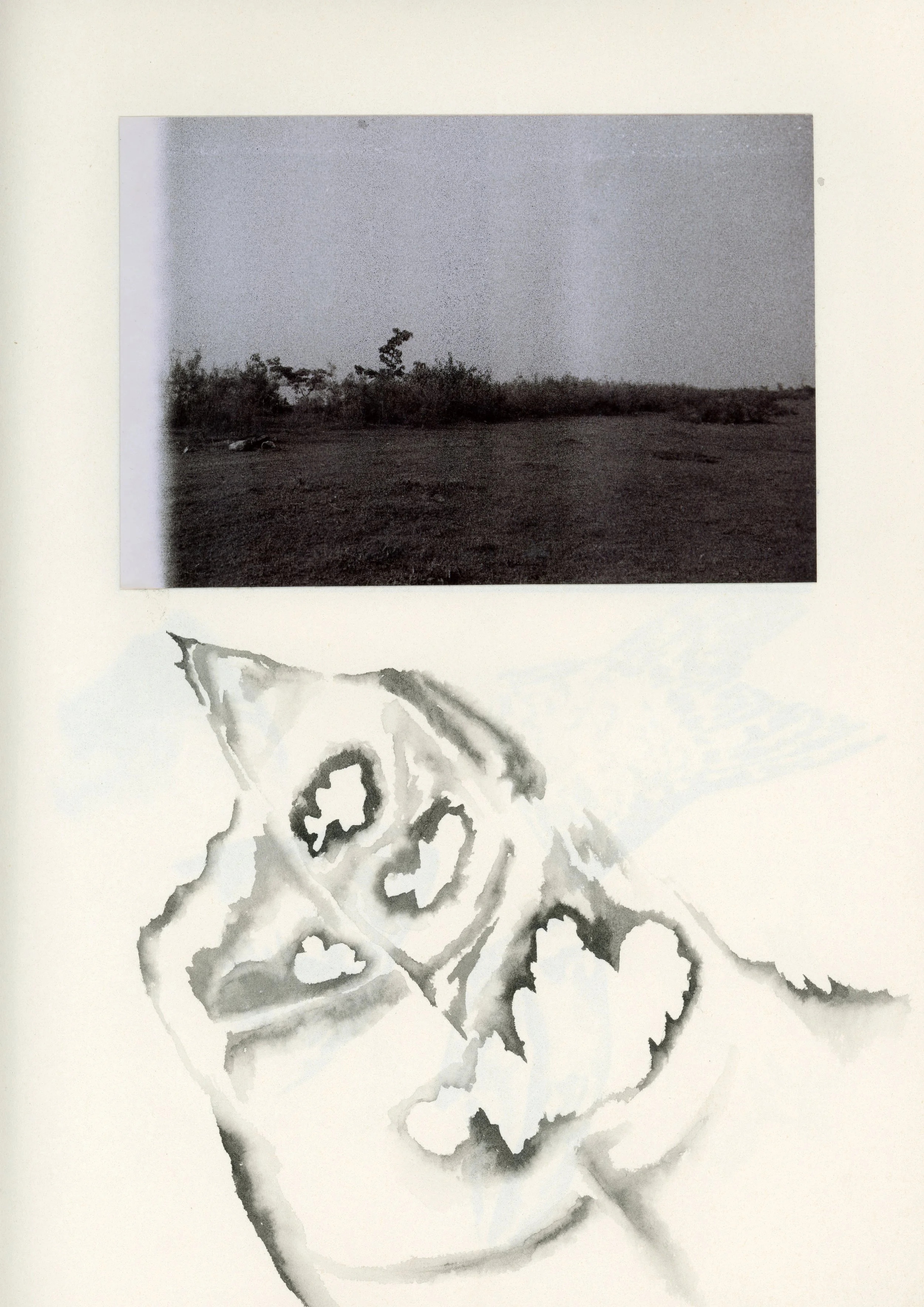 Untitled-7.jpg