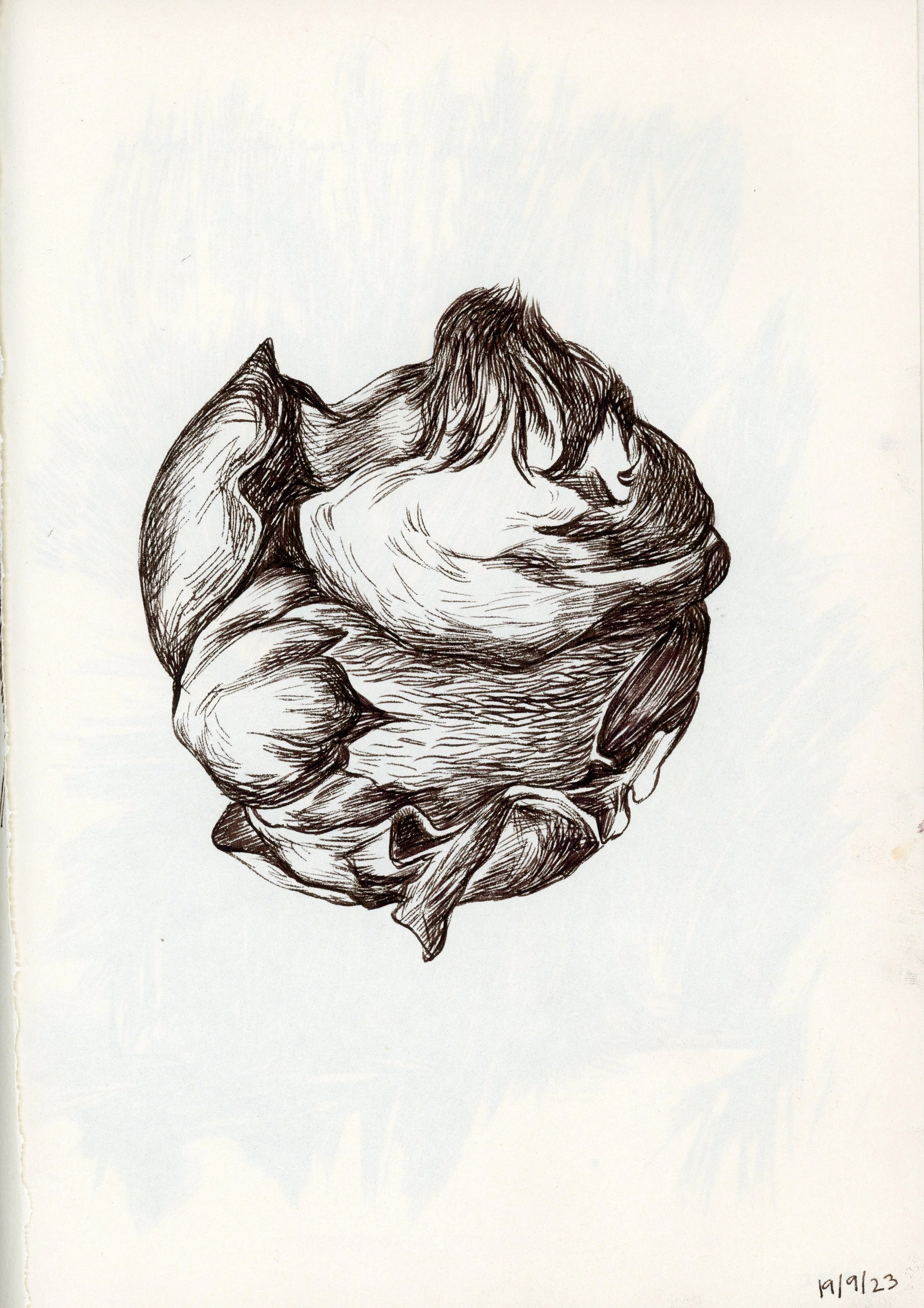 Untitled-19.jpg