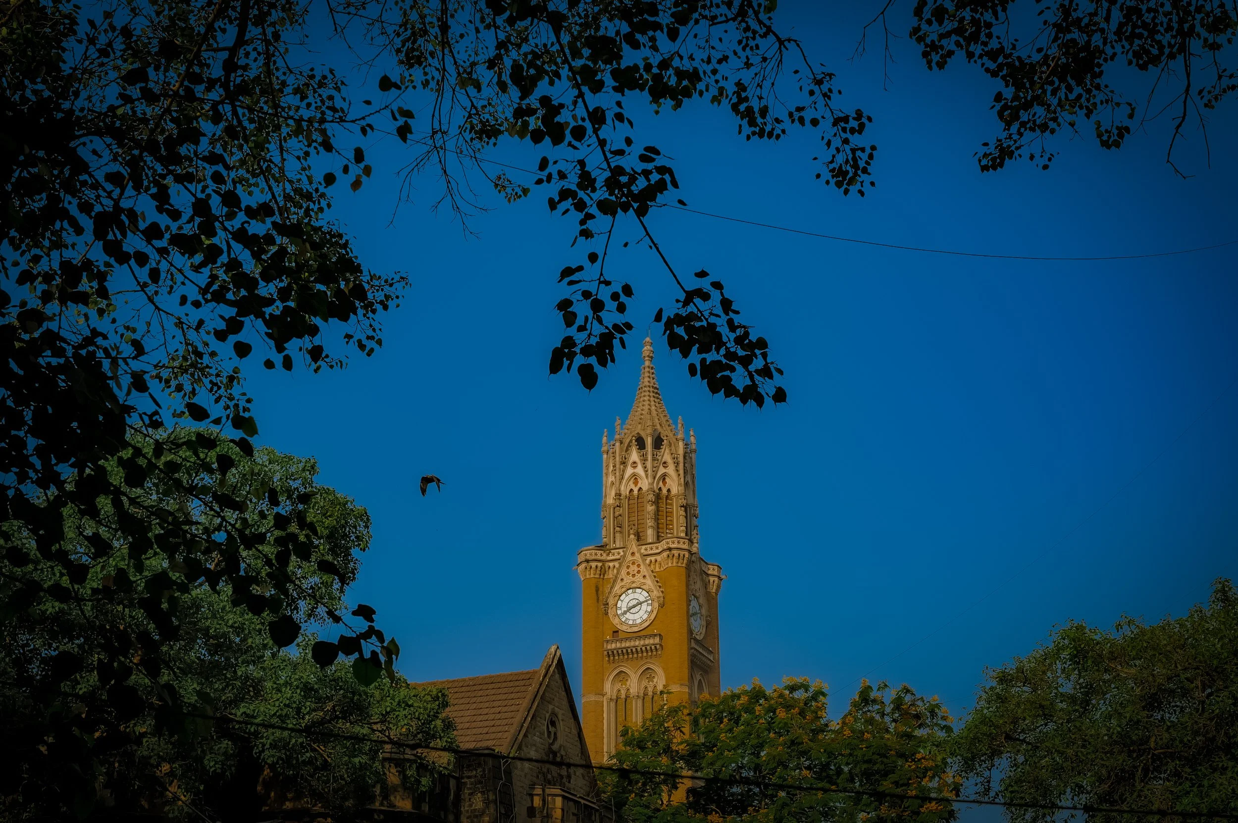 L1004329.JPG