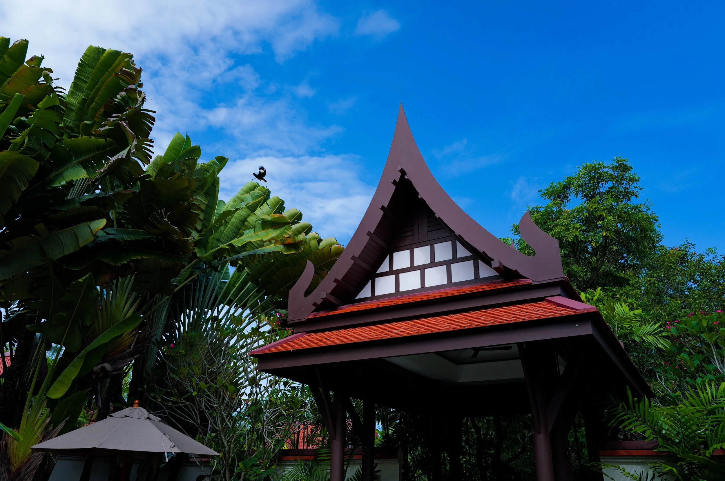 L1005668.JPG