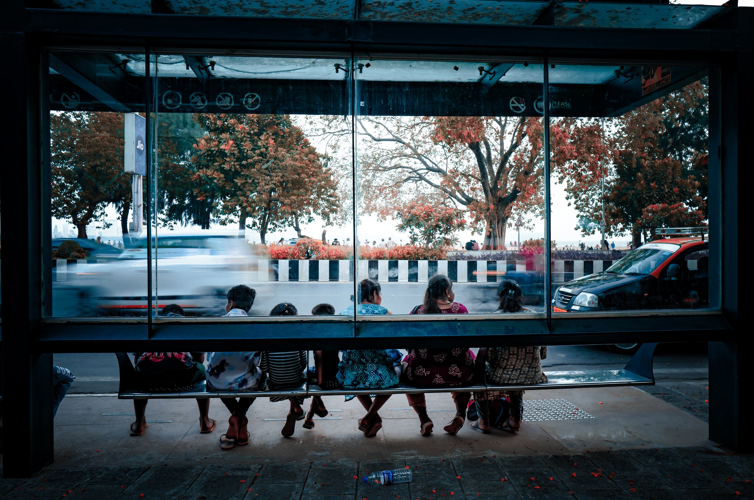 L1004561.JPG