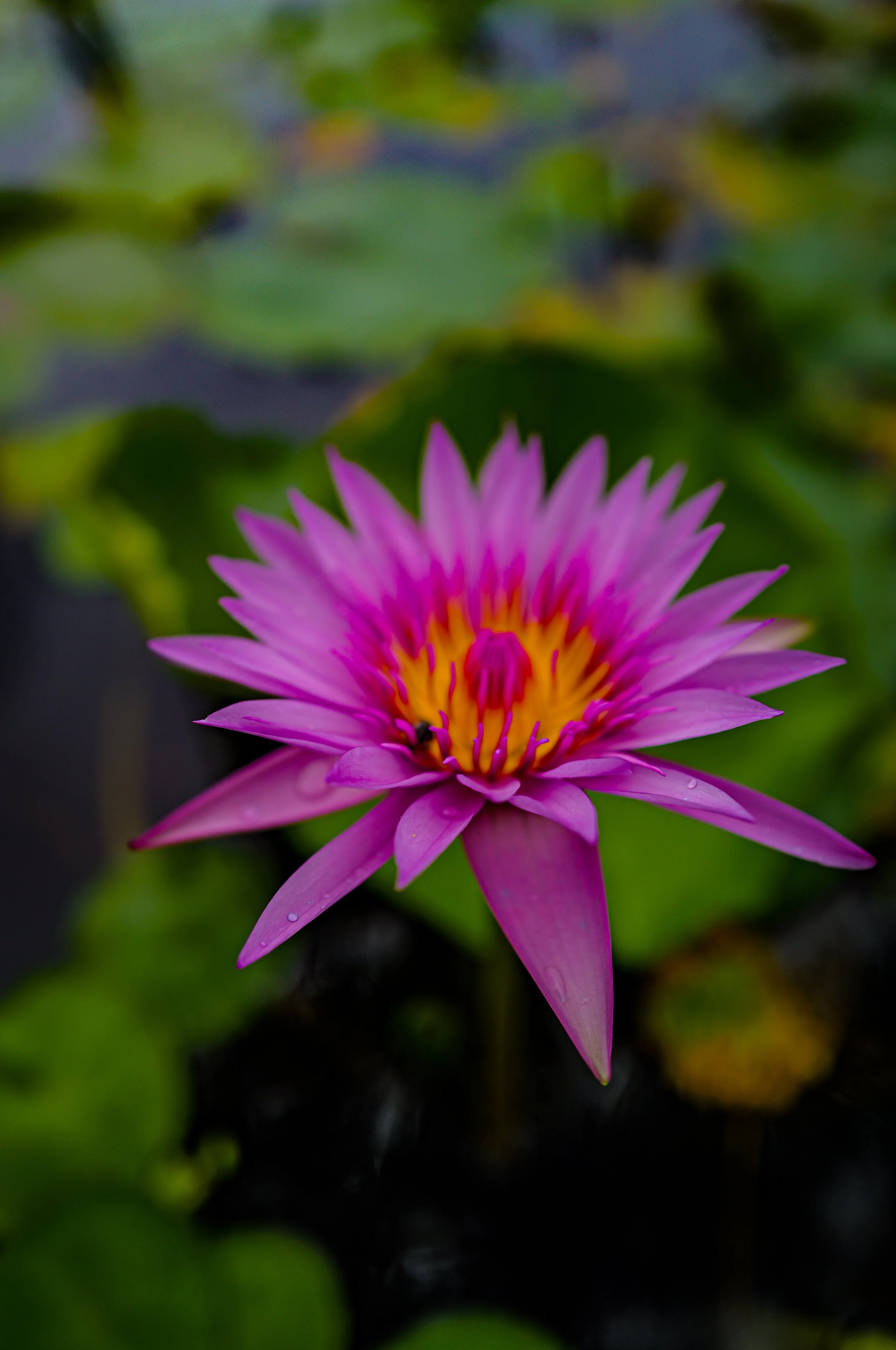 L1005235.JPG