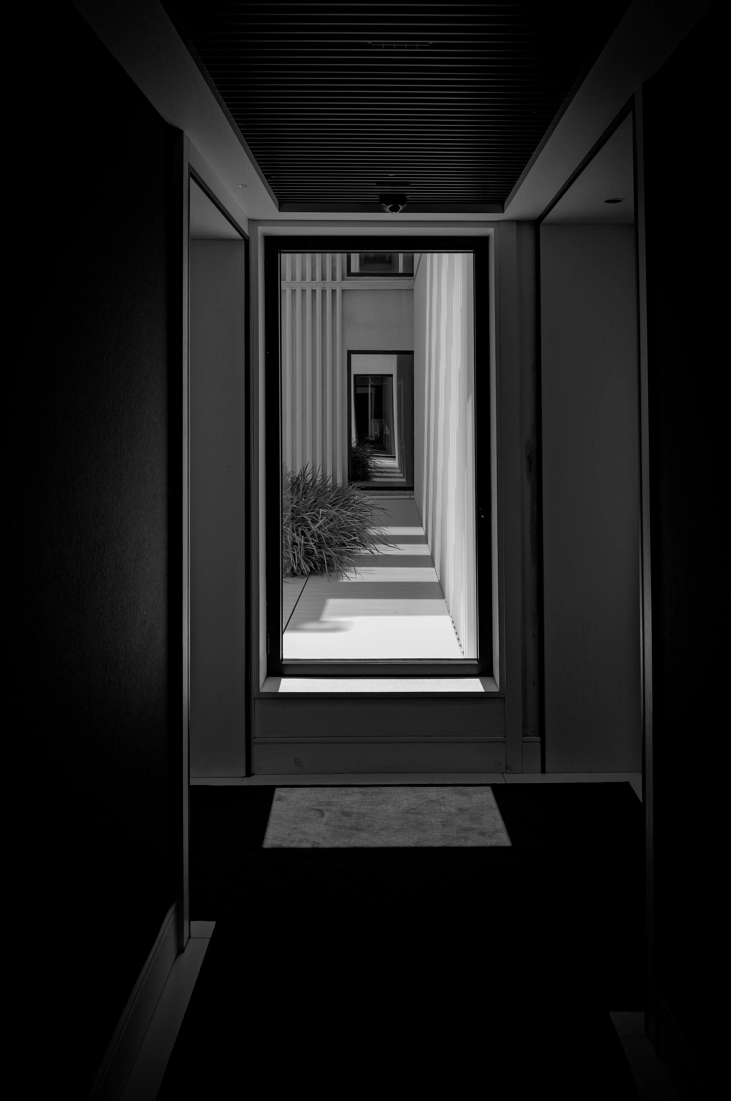 L1009182.JPG