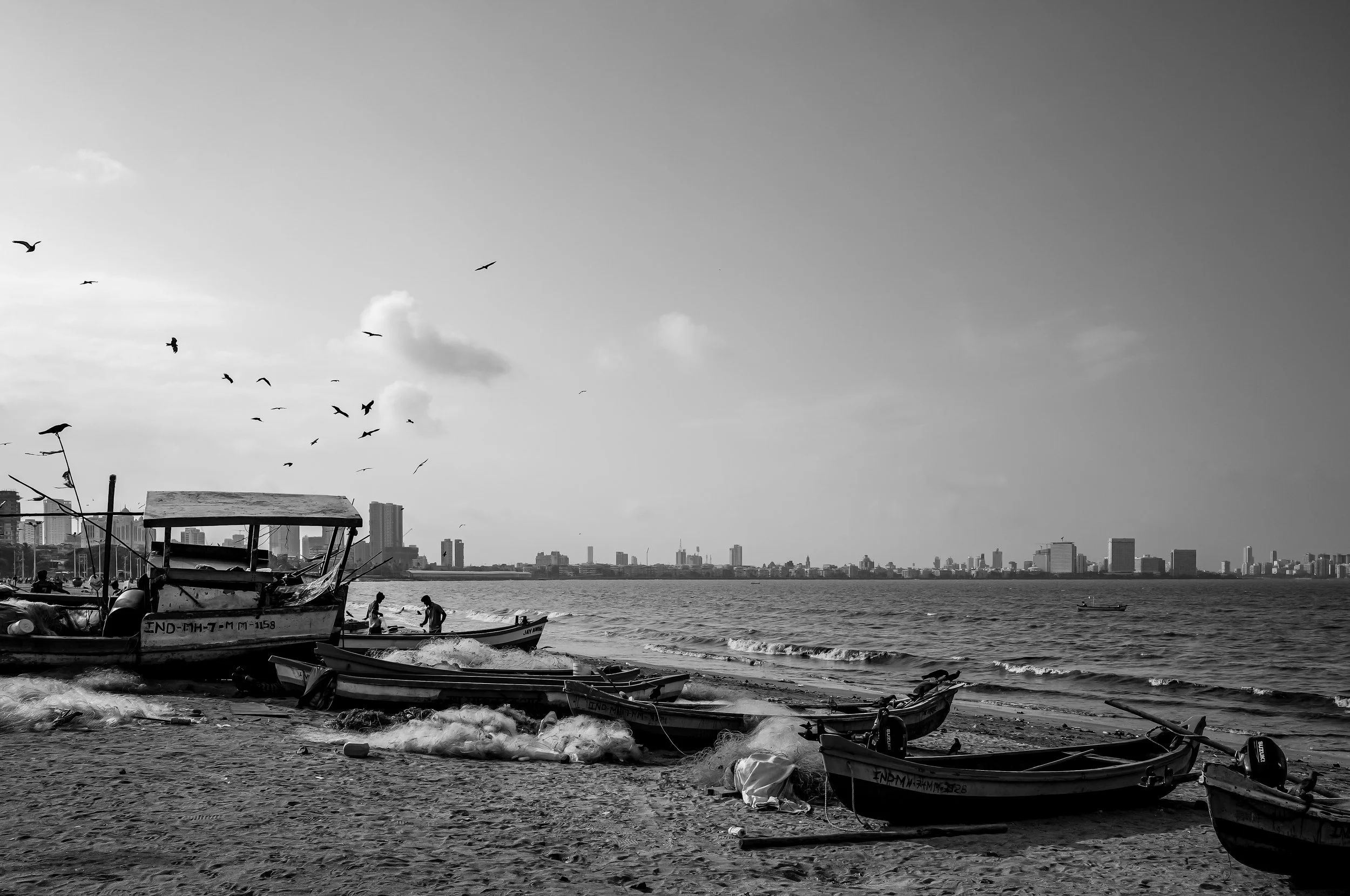 L1011214.JPG