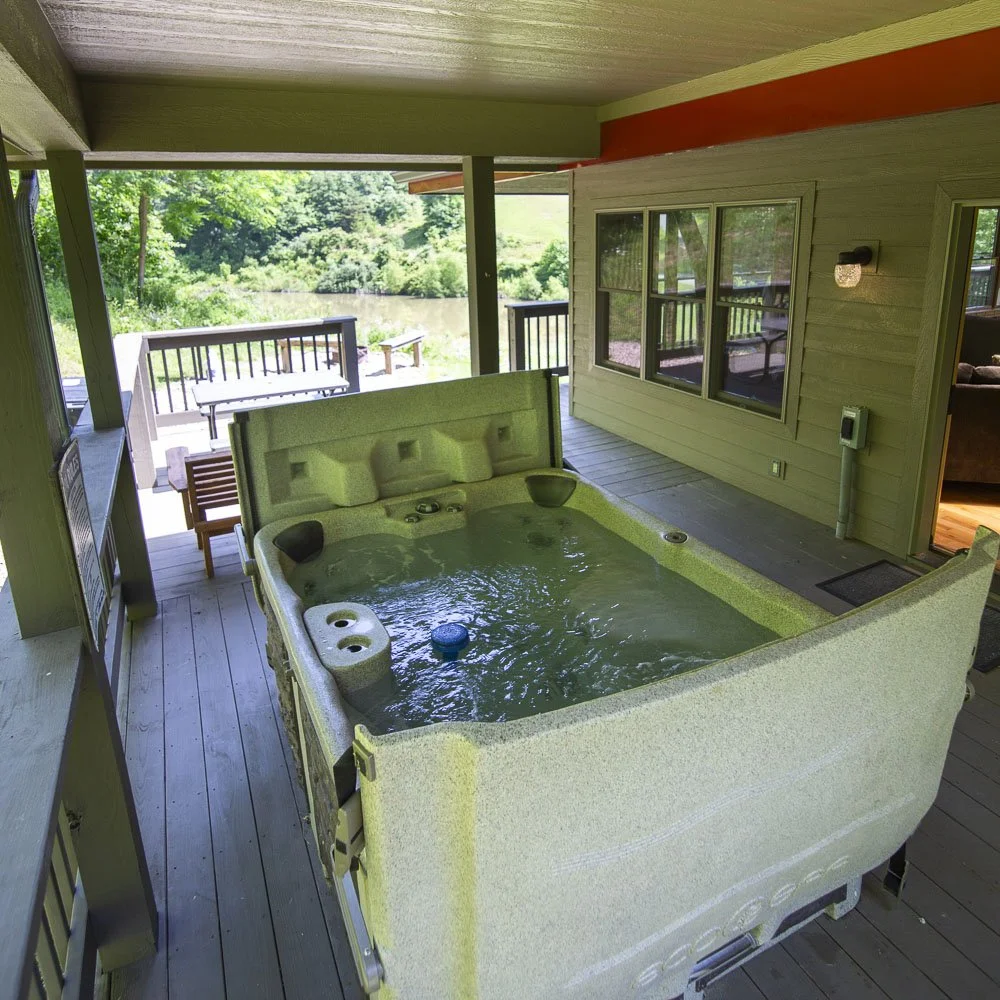 lilypad-2025-10.jpg