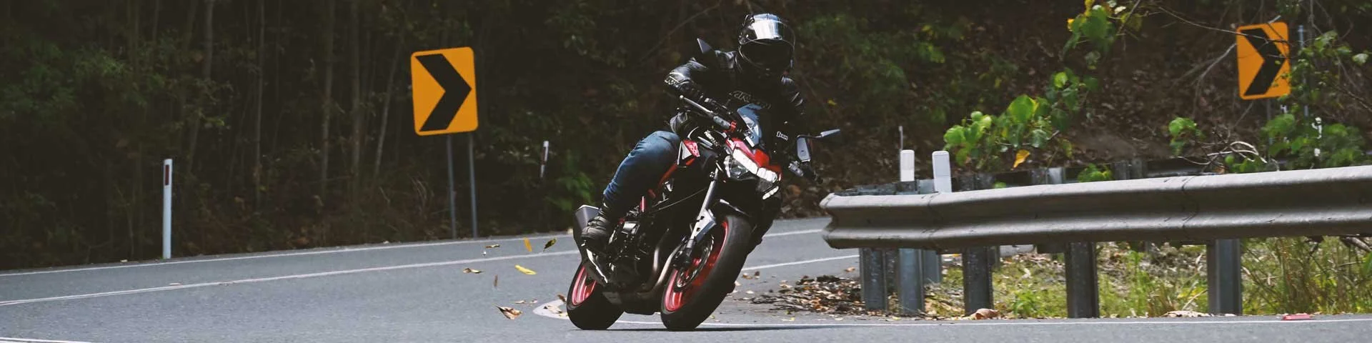 2024 Kawasaki Z900
