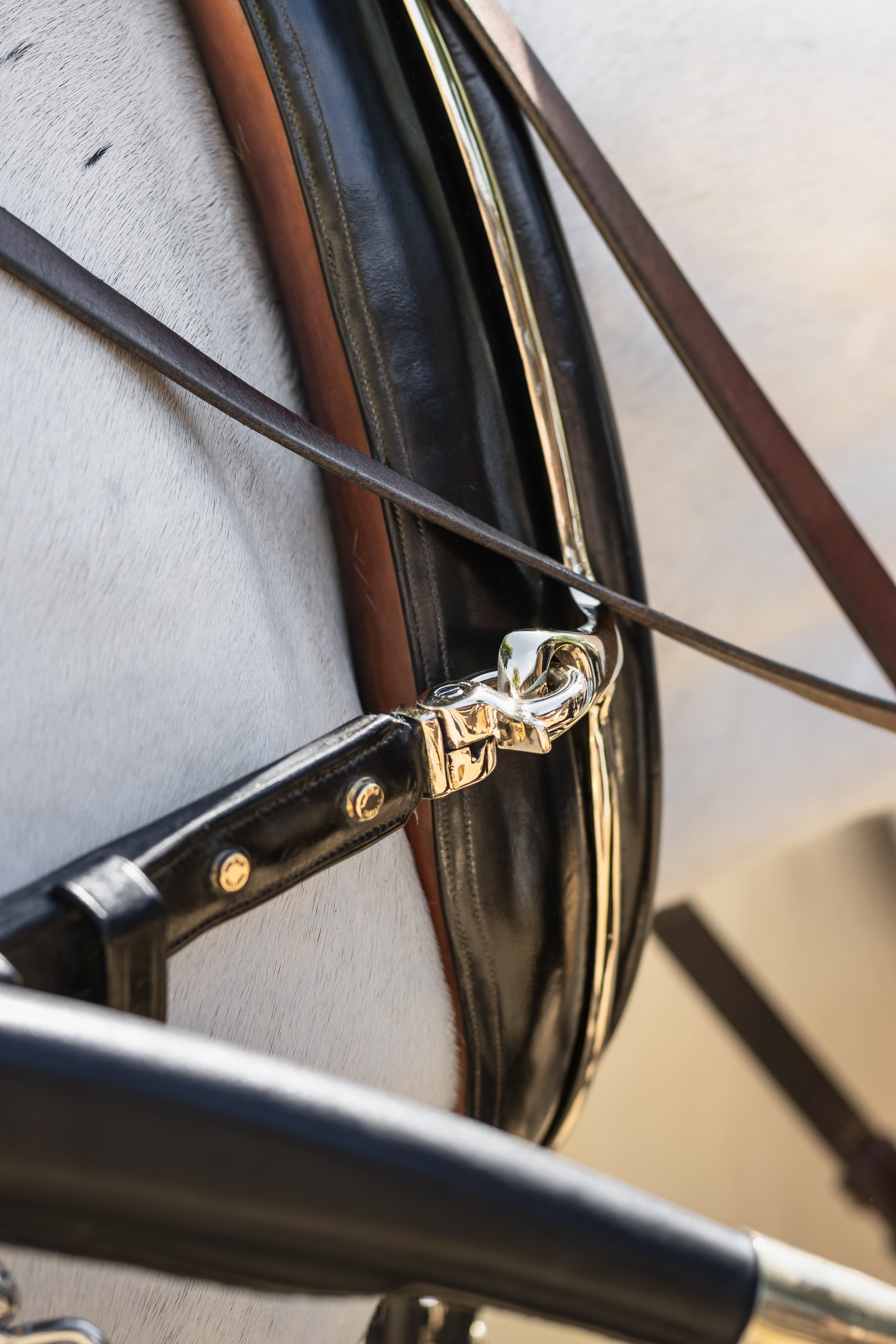 Close-up of a black leather handbag with a gold clasp, resting on a light-colored surface with a thin black strap across it.