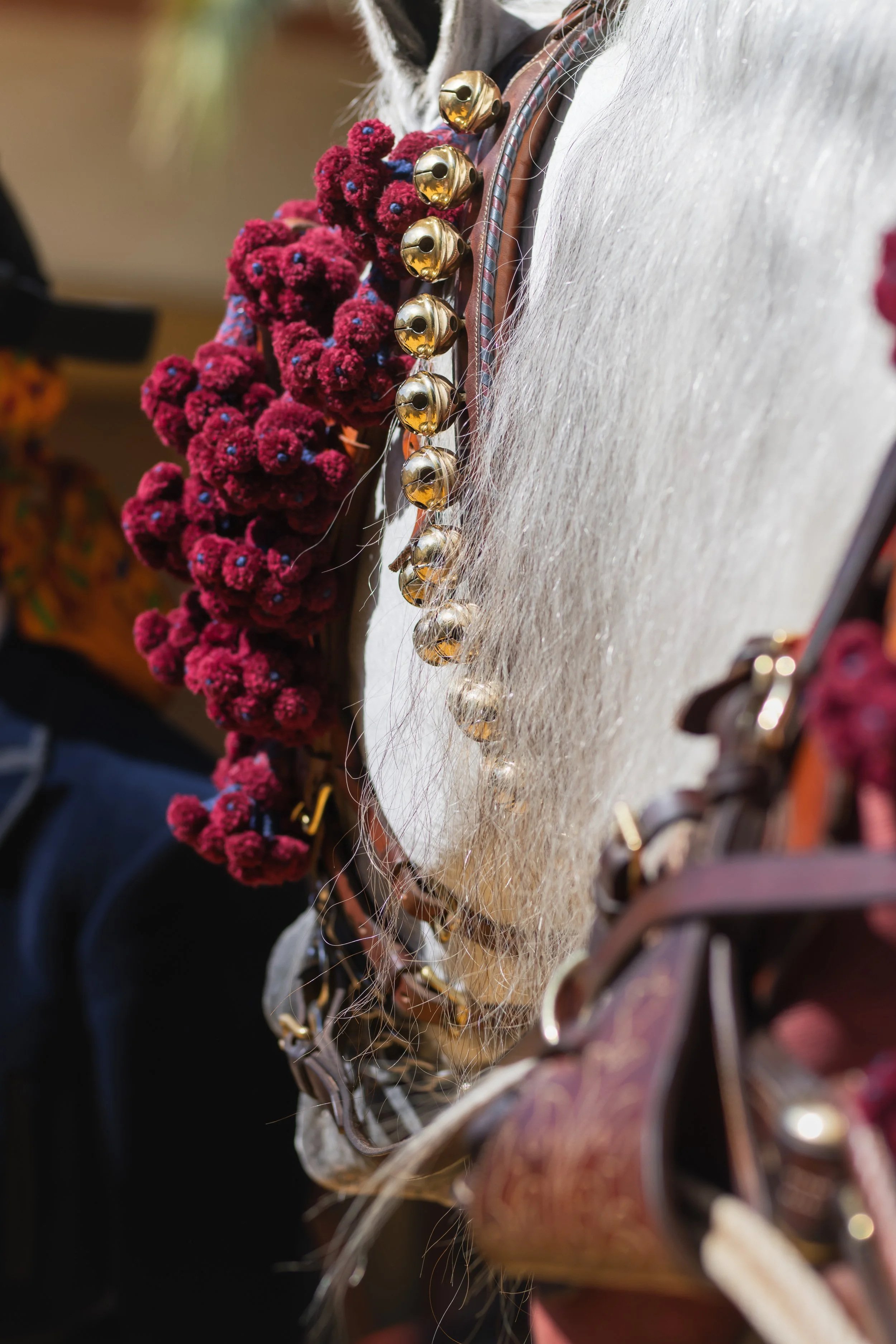 Close-up of a decorated horse's neck with a black, gold, and purple saddle, pink and blue pom-pom trim, and gold bells. The horse has white fur visible in the image.
