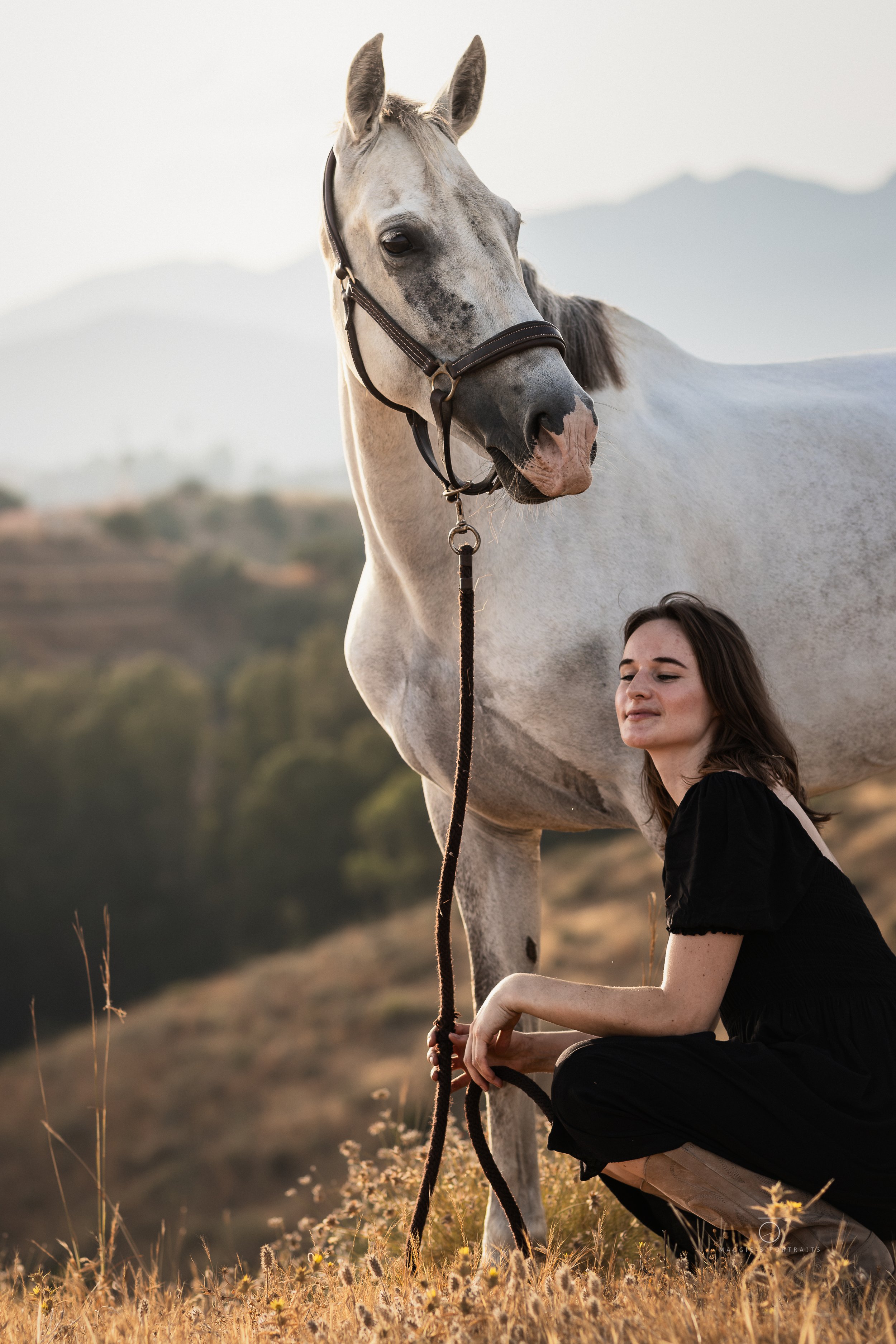 A woman in a black dress kneeling on grass, holding a lead rope attached to a white horse with gray spots, in an open field with mountains in the background during sunset.