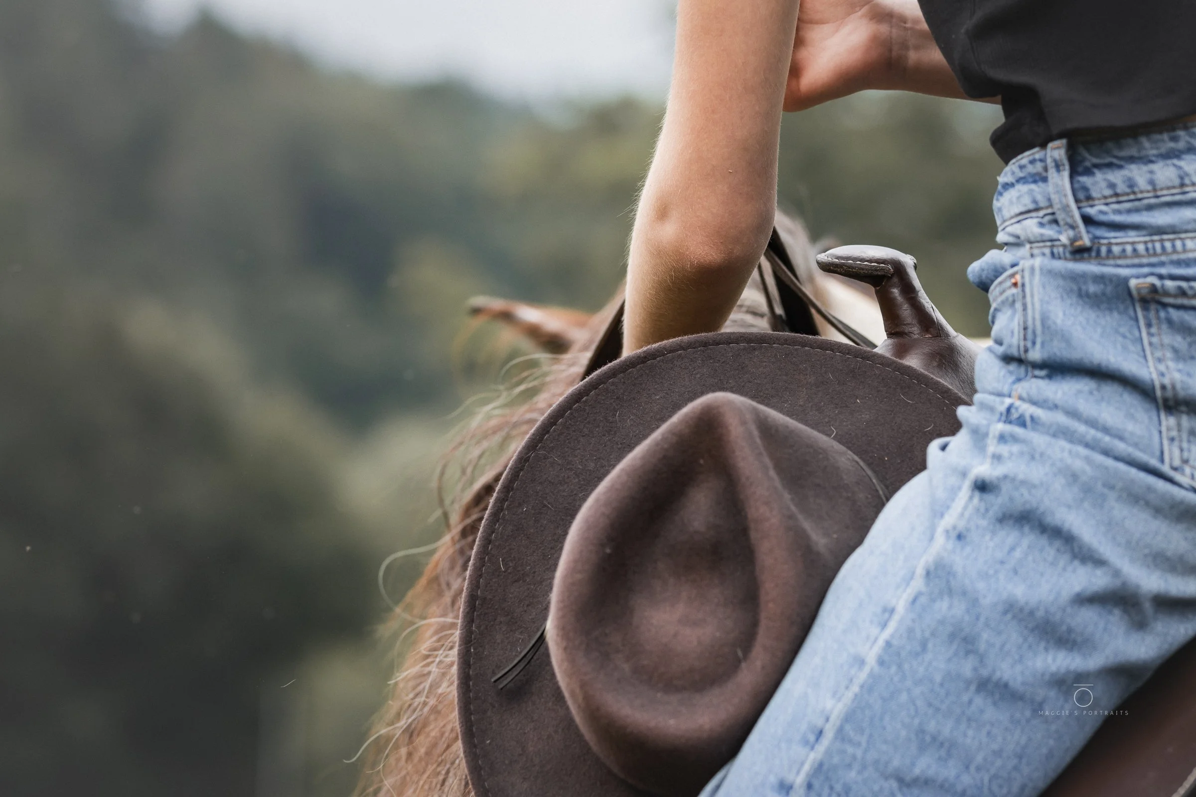 Close-up of a person sitting on a brown horse, wearing jeans and a dark shirt, with a blurred natural landscape in the background.