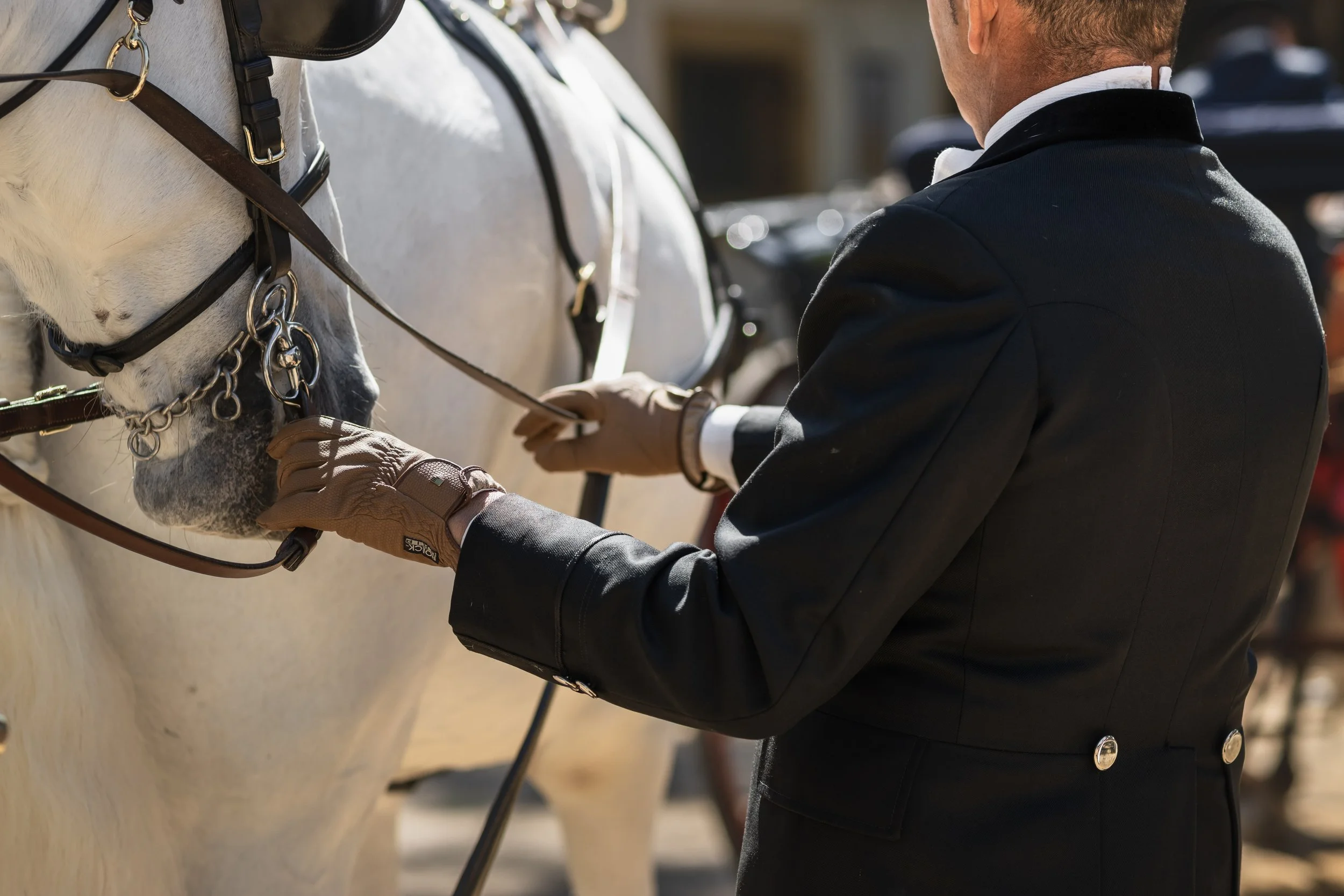 A person dressed in a formal black riding jacket with silver buttons is preparing a white horse for riding, wearing gloves and adjusting the horse's bridle.
