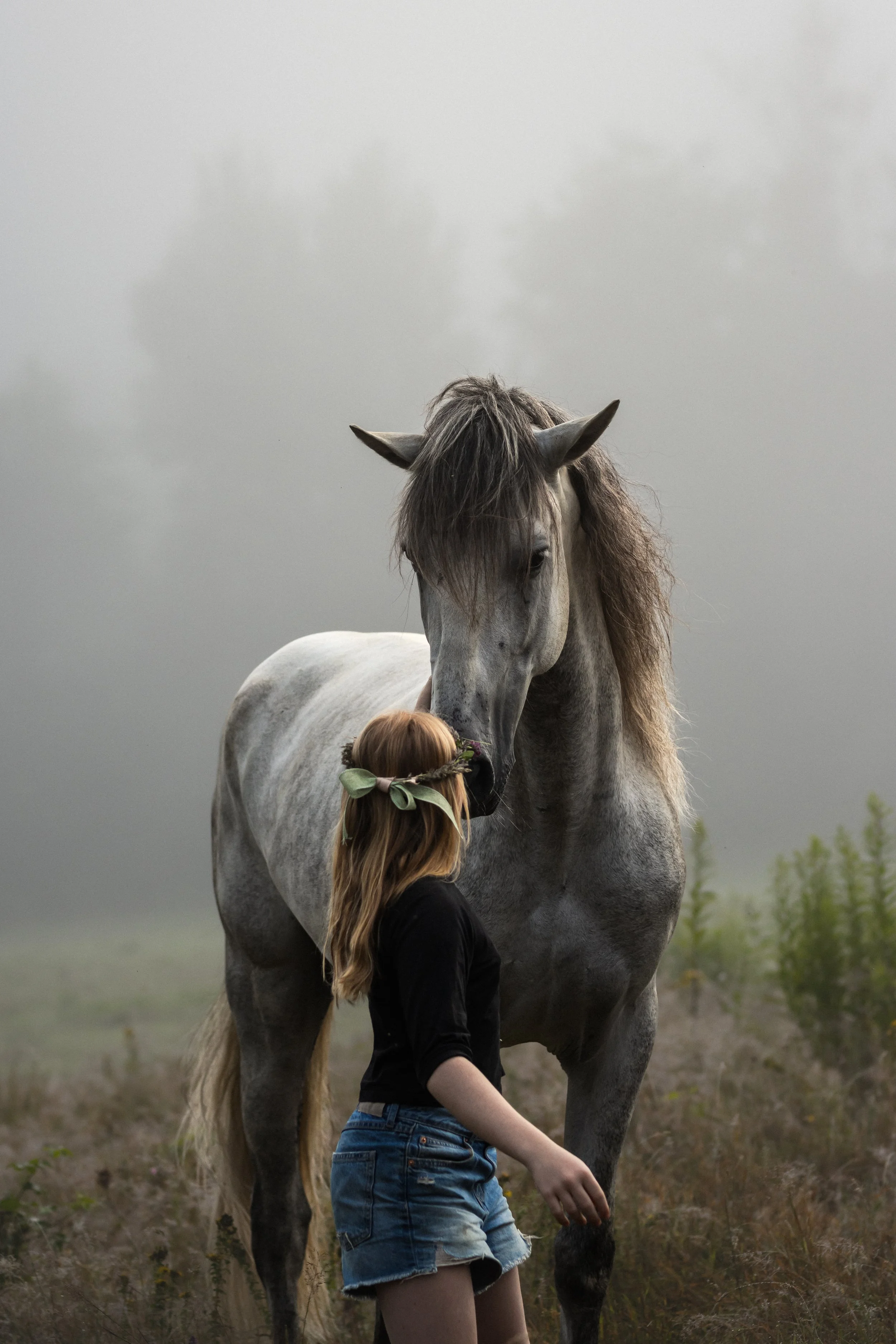 A girl with long hair wearing a black top and denim shorts standing next to a white horse with a gray mane in an open field on a cloudy day.