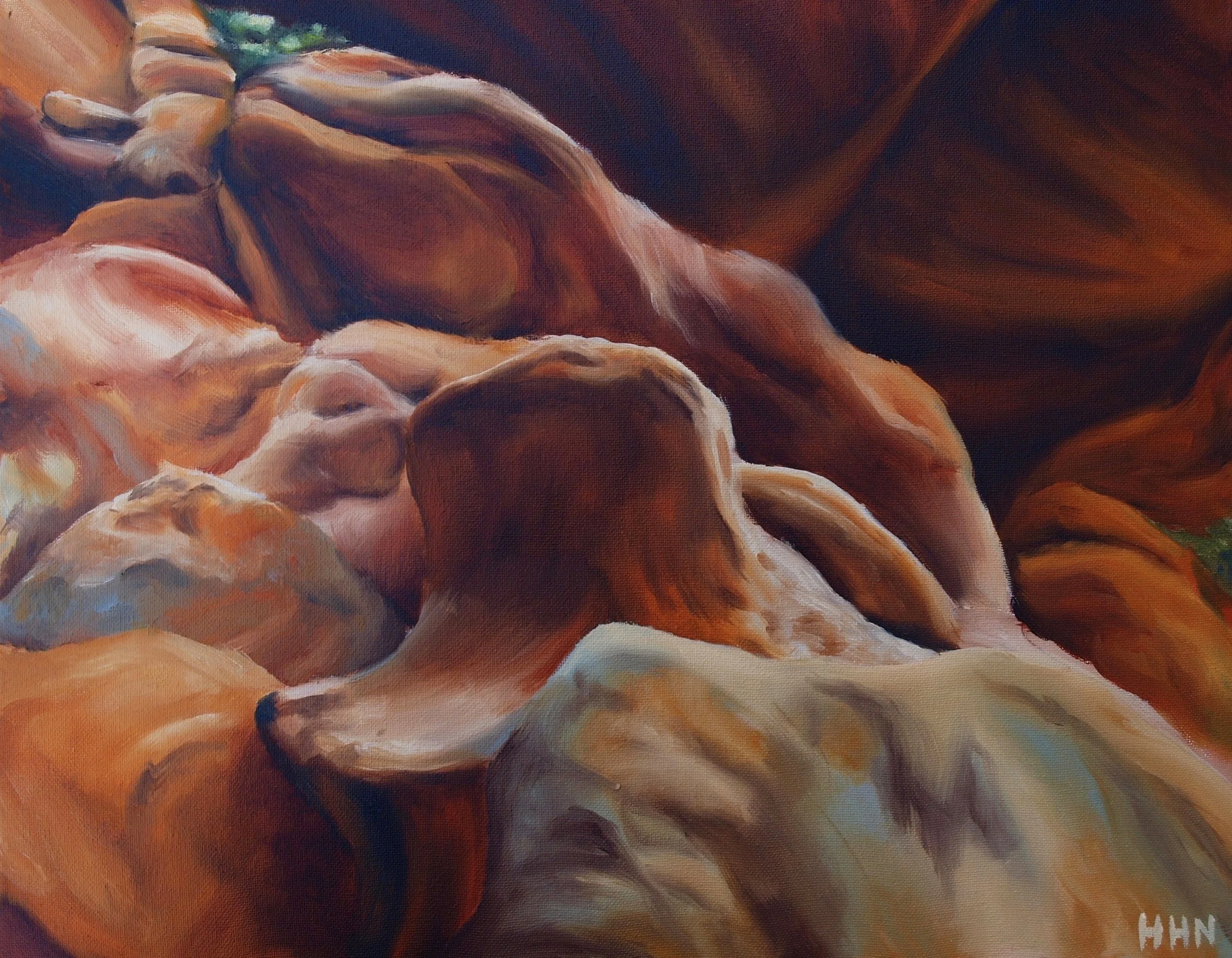 P3042477.jpg