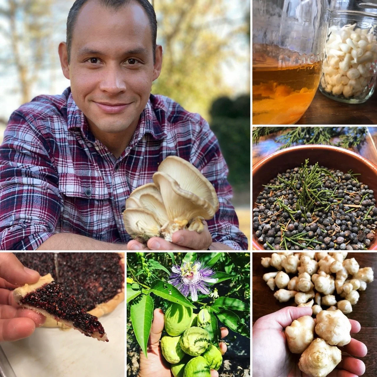robert-field-collage.jpg