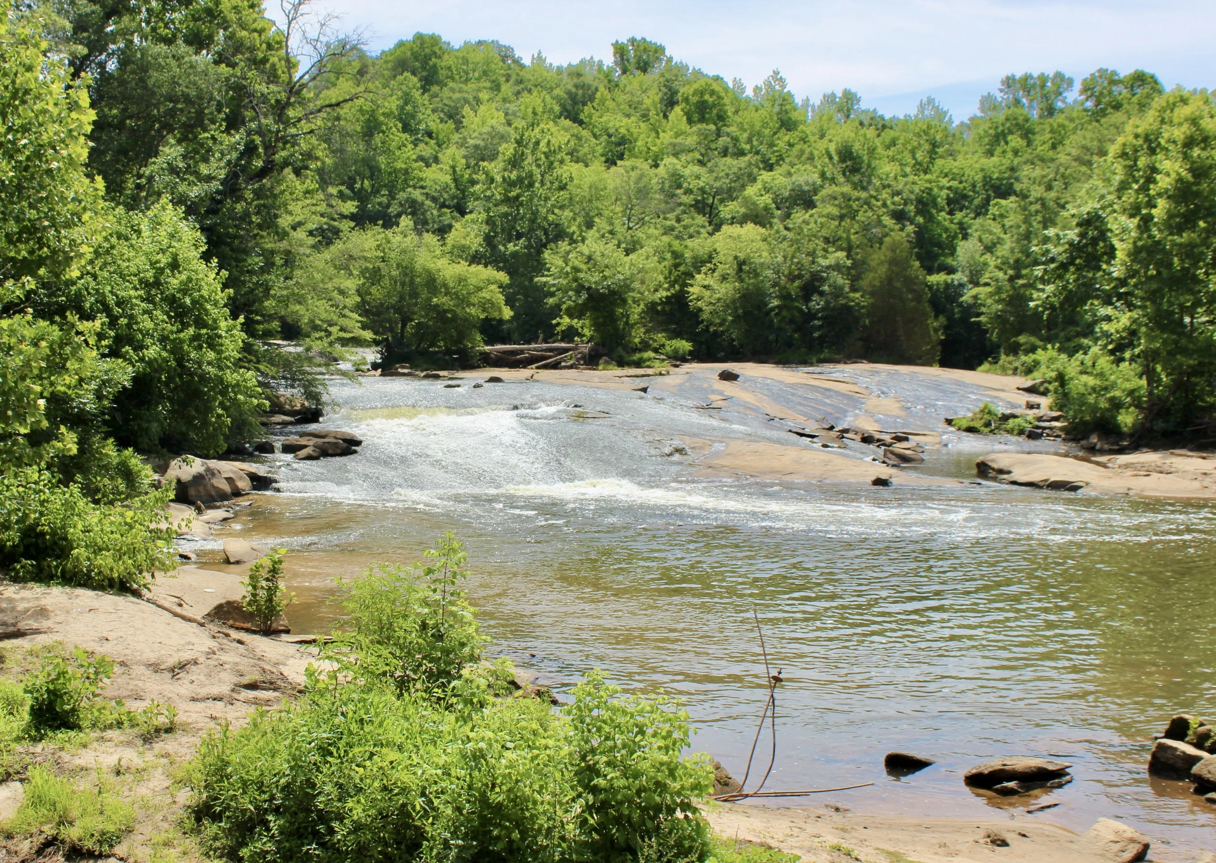 cedar-falls-park.jpg