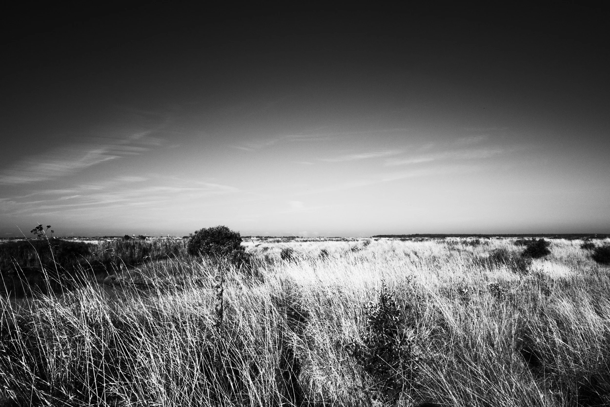 Nature