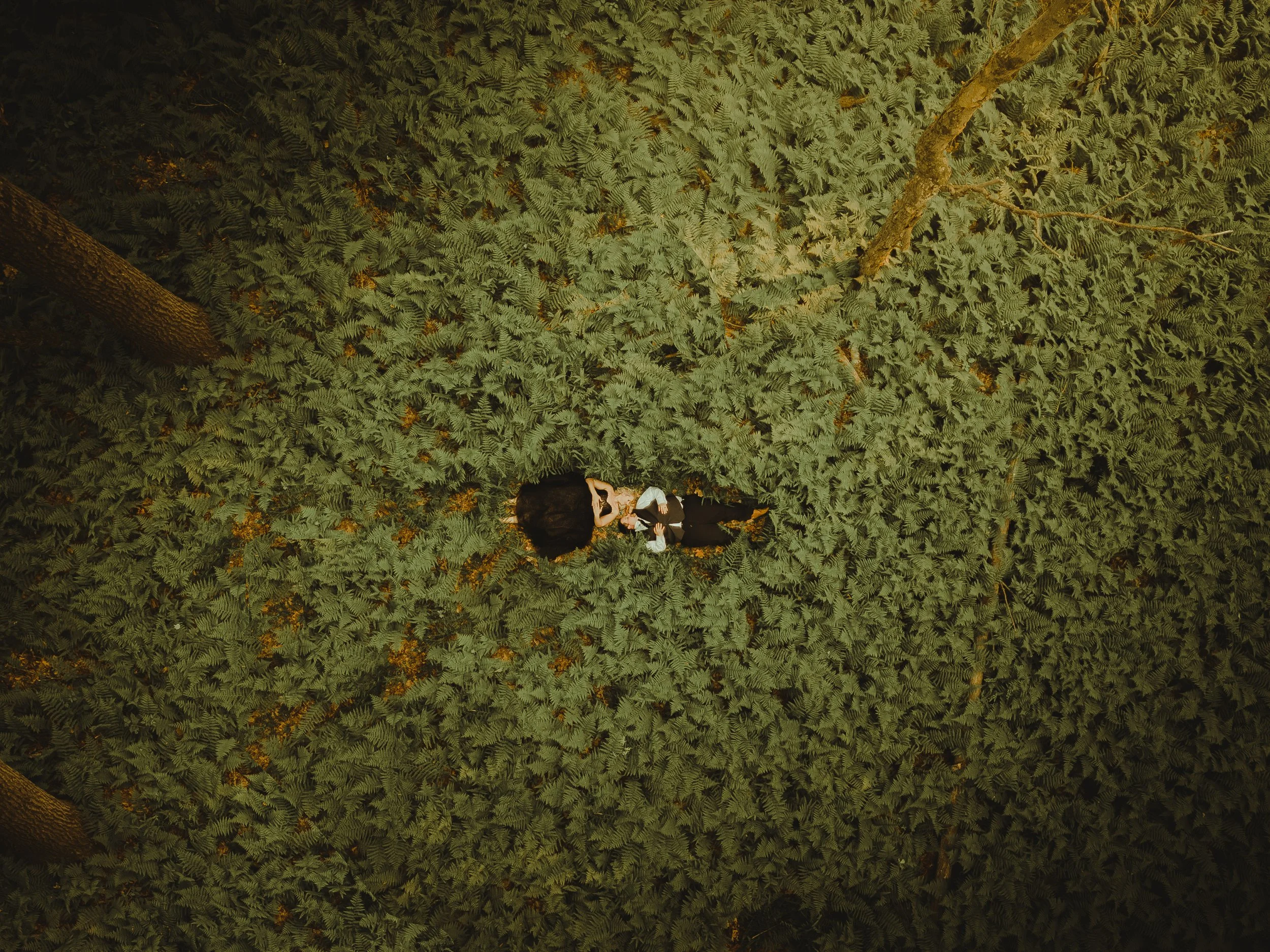 20230607-DJI_0085-Enhanced-NR.jpg