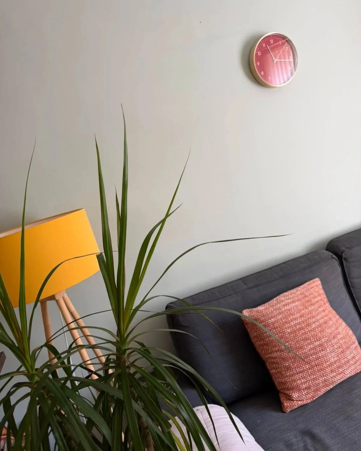 Calm counselling room in Yeovil