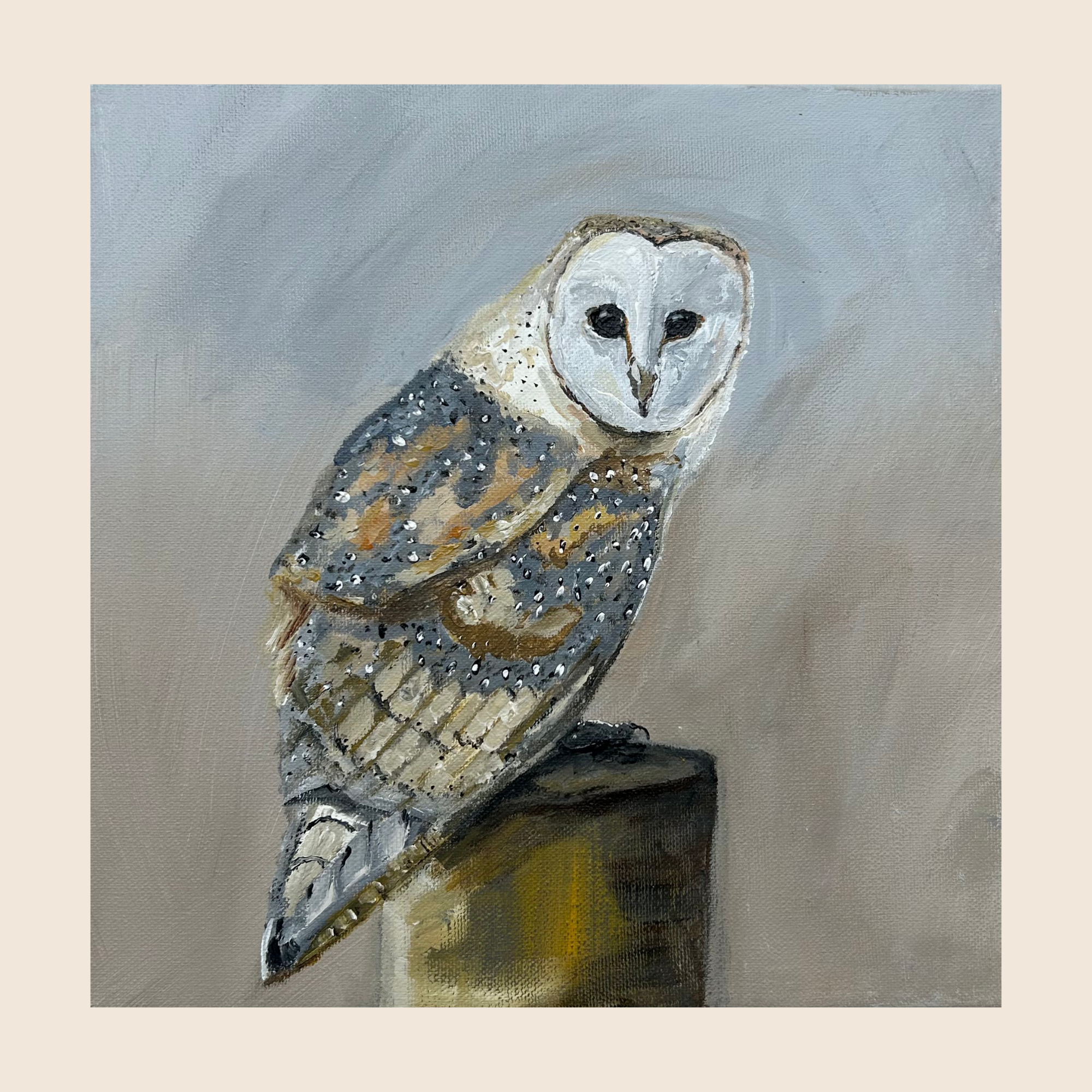 The Silent Barn Owl