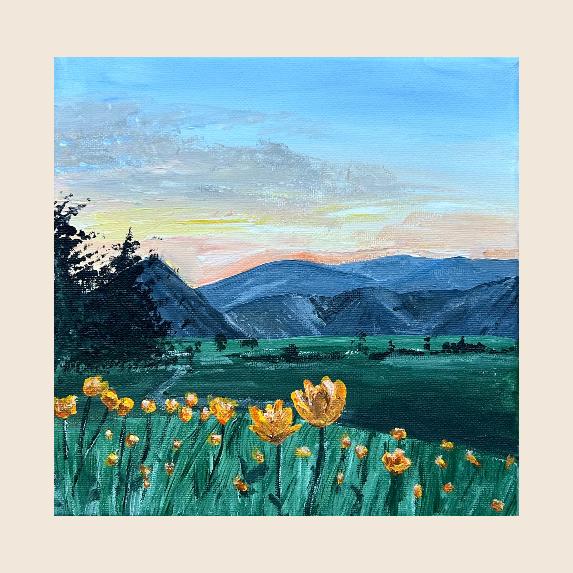 Orange Meadow